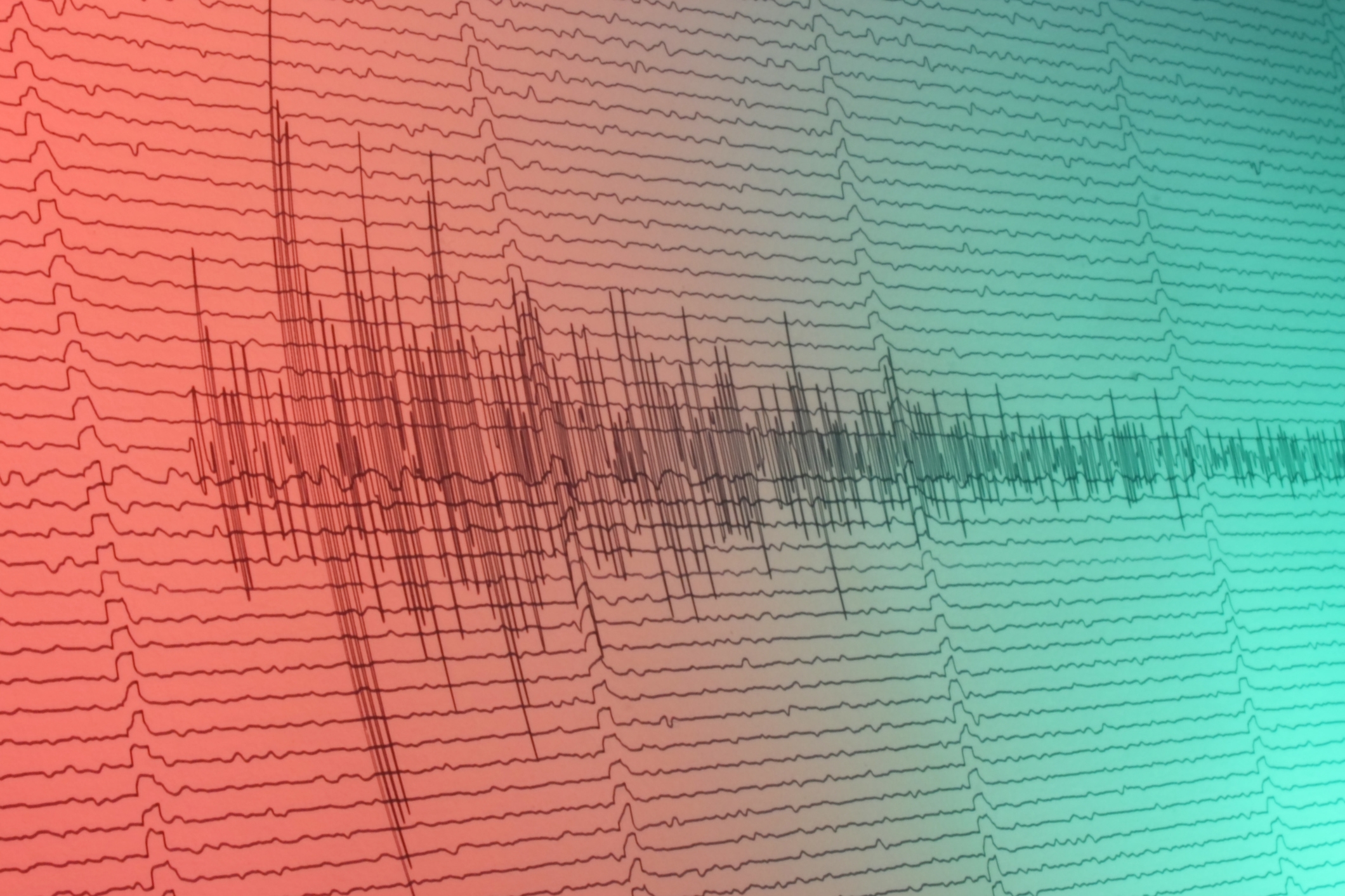 A digital seismograph shows a series of spikes and waves, indicating seismic activity