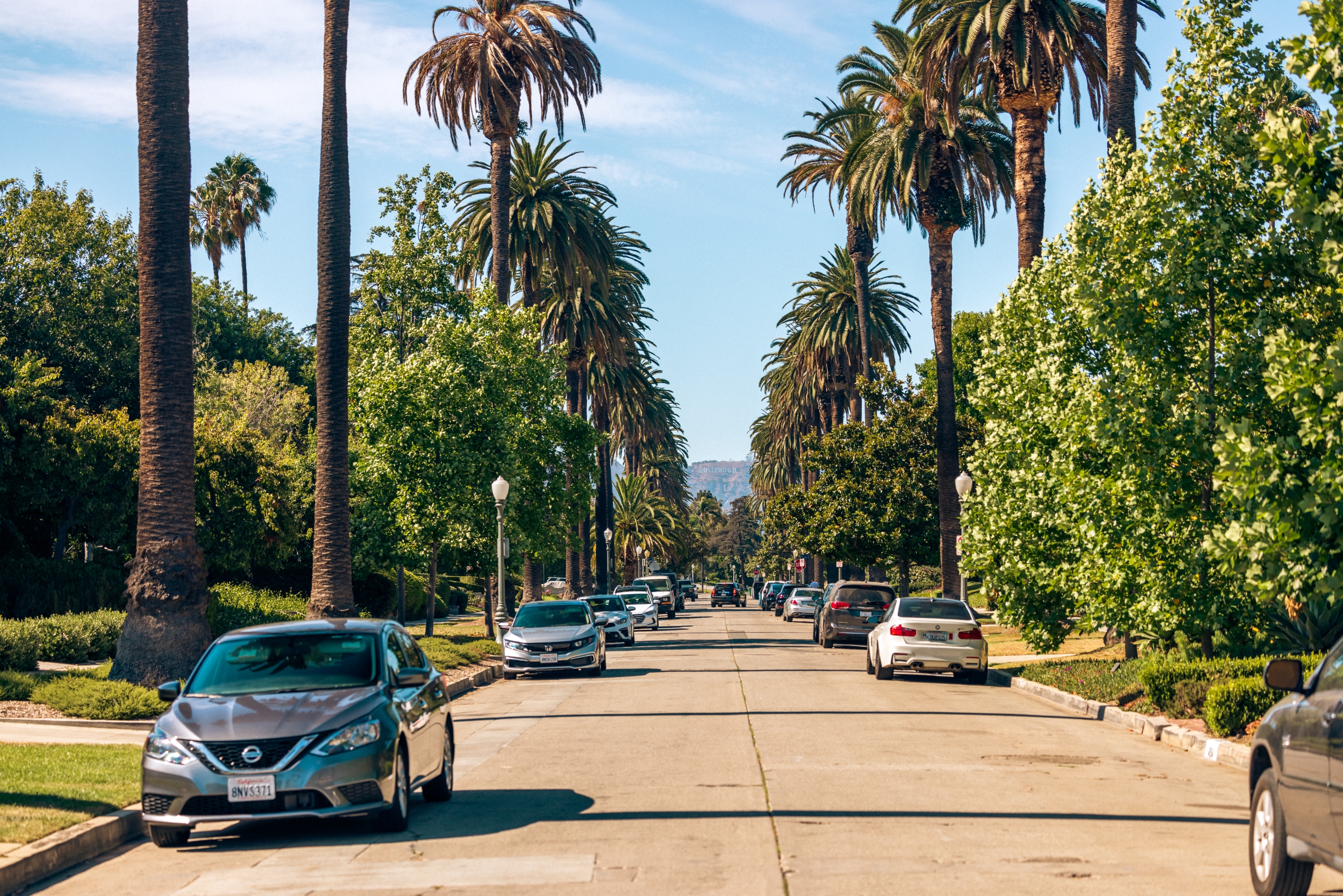 Street lined with palm trees and parked cars, evoking a California neighborhood vibe under a clear sky