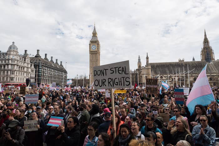 Large crowd protesting with signs like &quot;Don&#x27;t Steal Our Rights&quot; near Big Ben, London. Trans pride flags are visible among the protesters