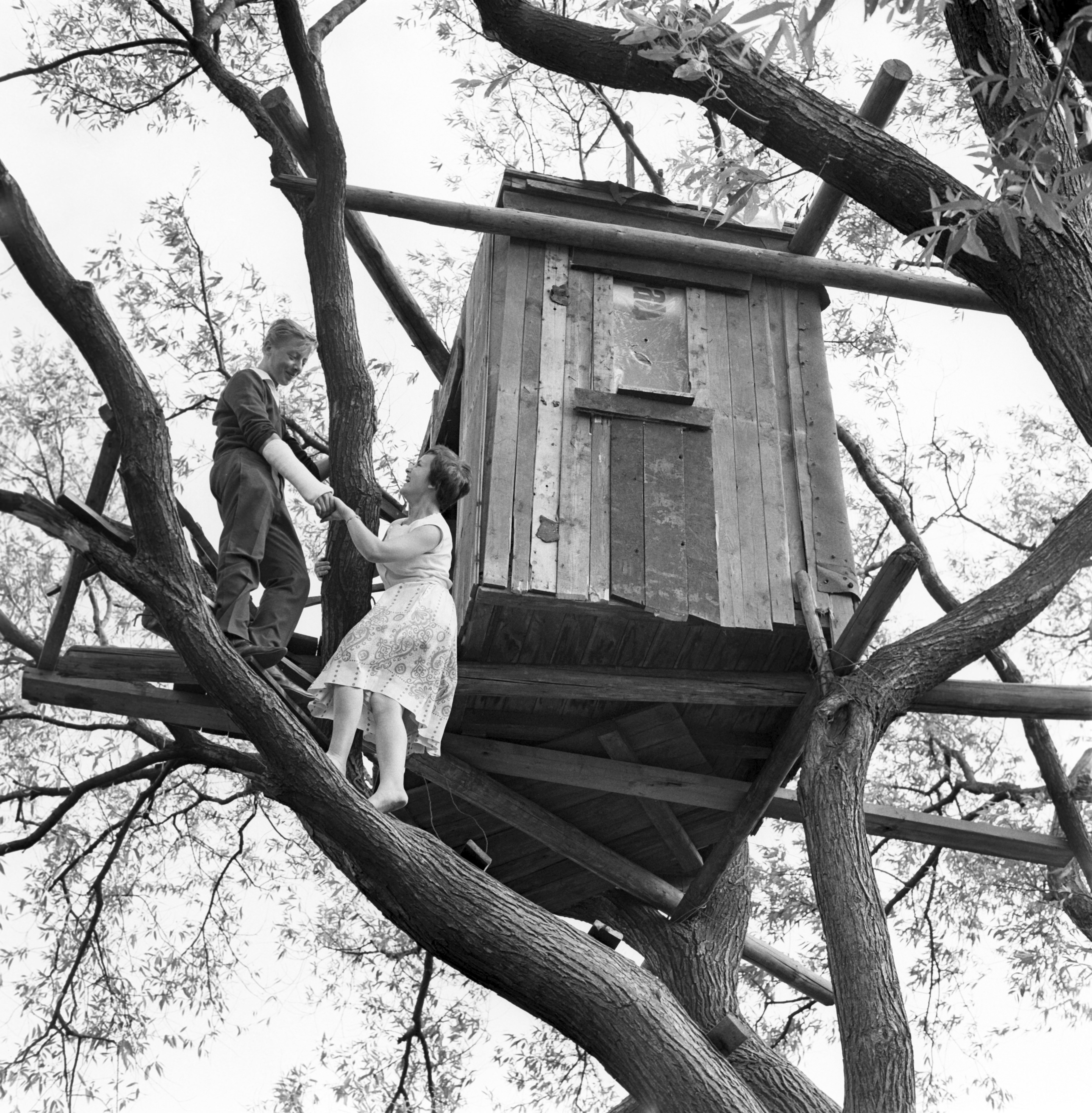 A man and woman stand on tree branches, interacting with a wooden treehouse built among the limbs