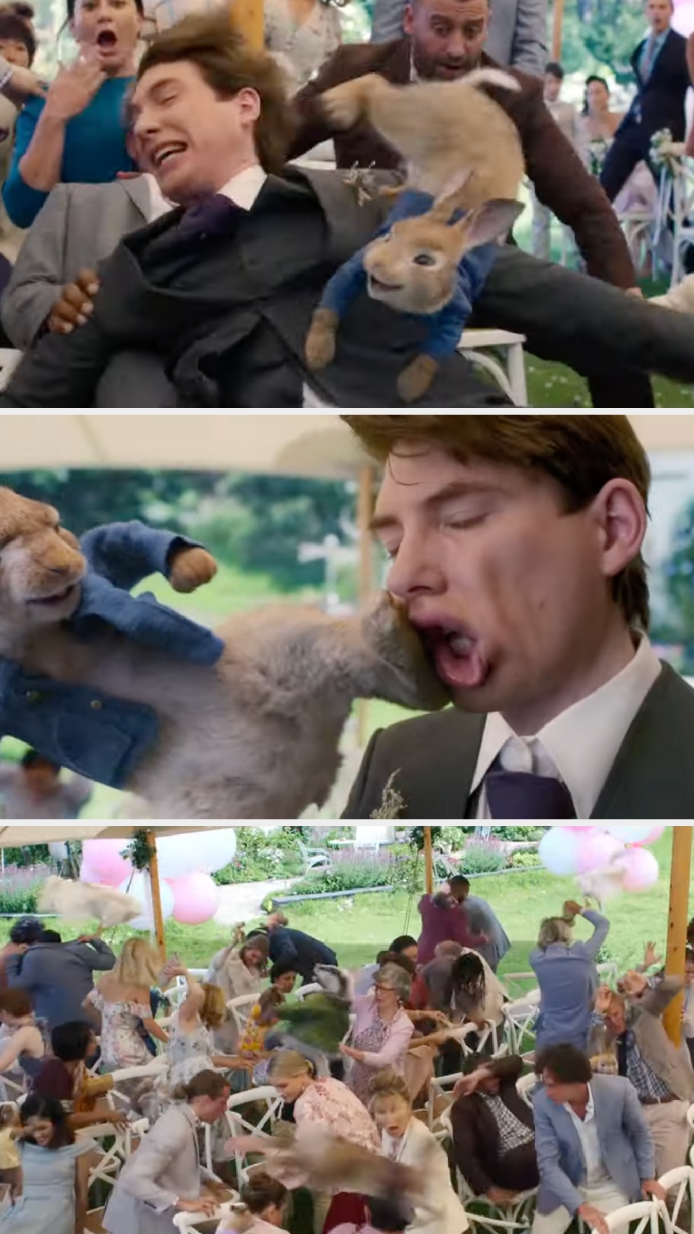 Guests at an outdoor wedding react chaotically as a rabbit causes a commotion, leaping onto attendees and disrupting the ceremony