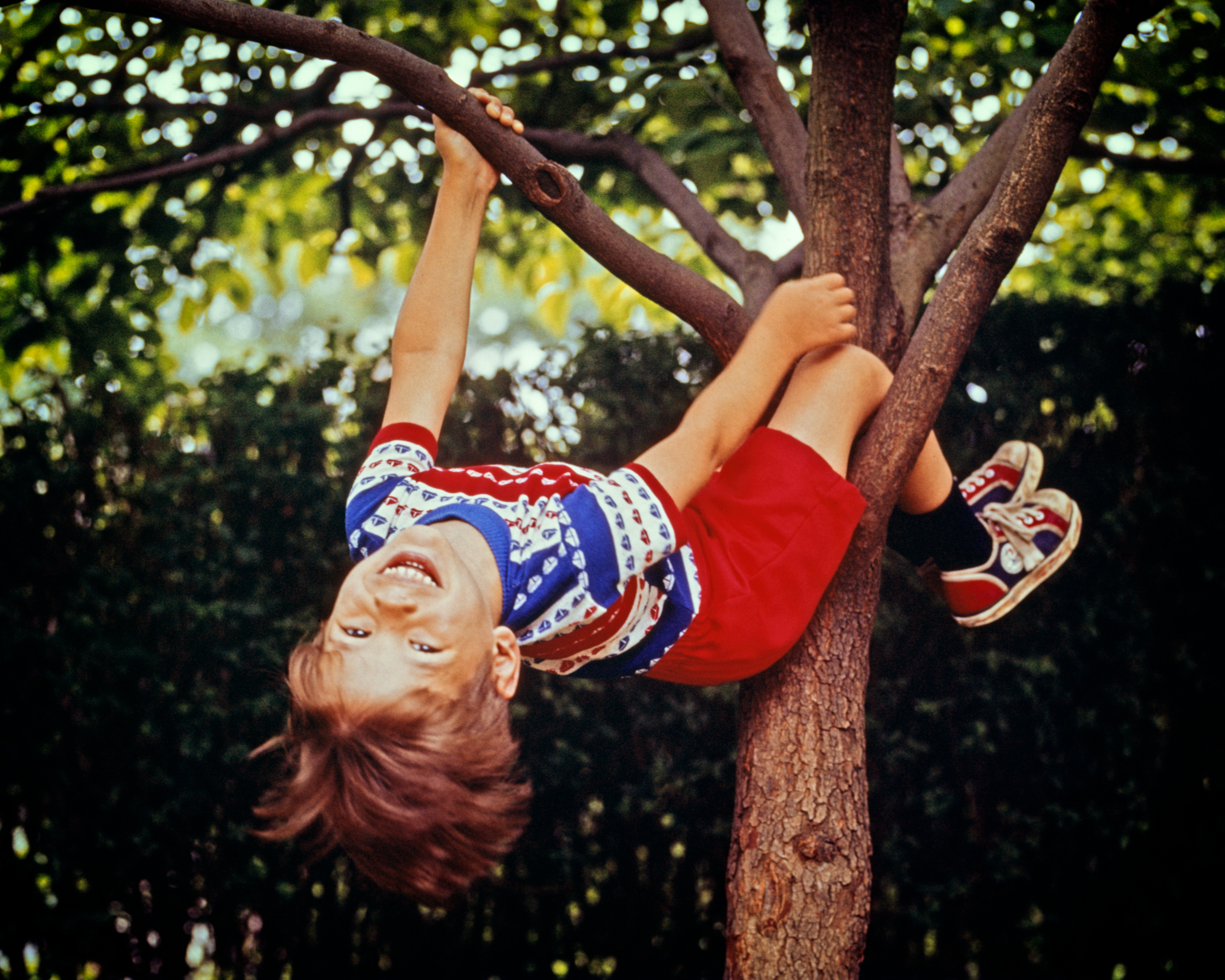 Child playfully hanging upside down from a tree branch, smiling widely. The background showcases lush greenery