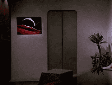 A gray cat calmly sits on a teleportation pad in a futuristic room, with a painting of a moon and landscape on the wall