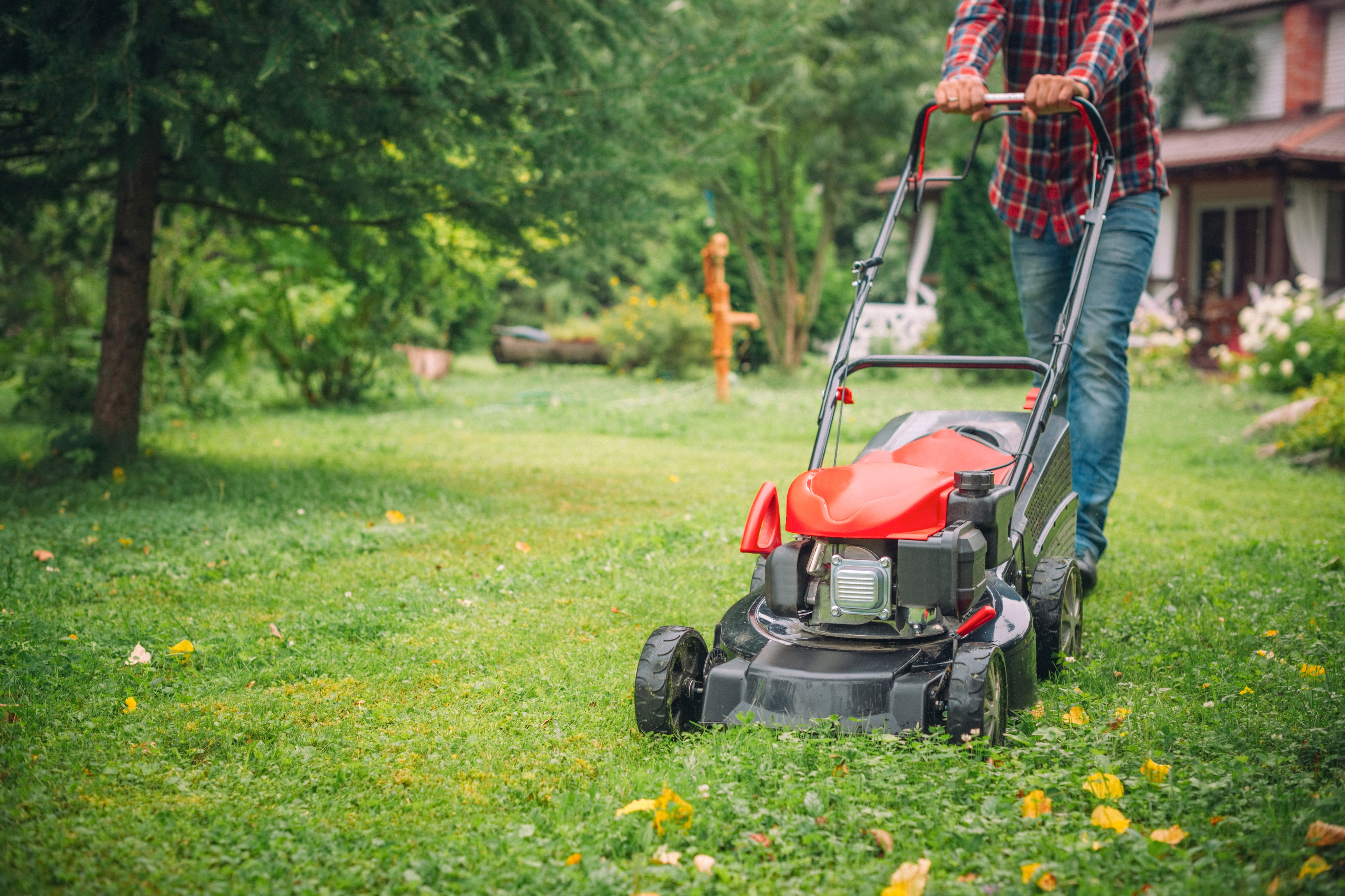 Person mowing a lawn with a push mower in a garden, surrounded by trees and a house in the background