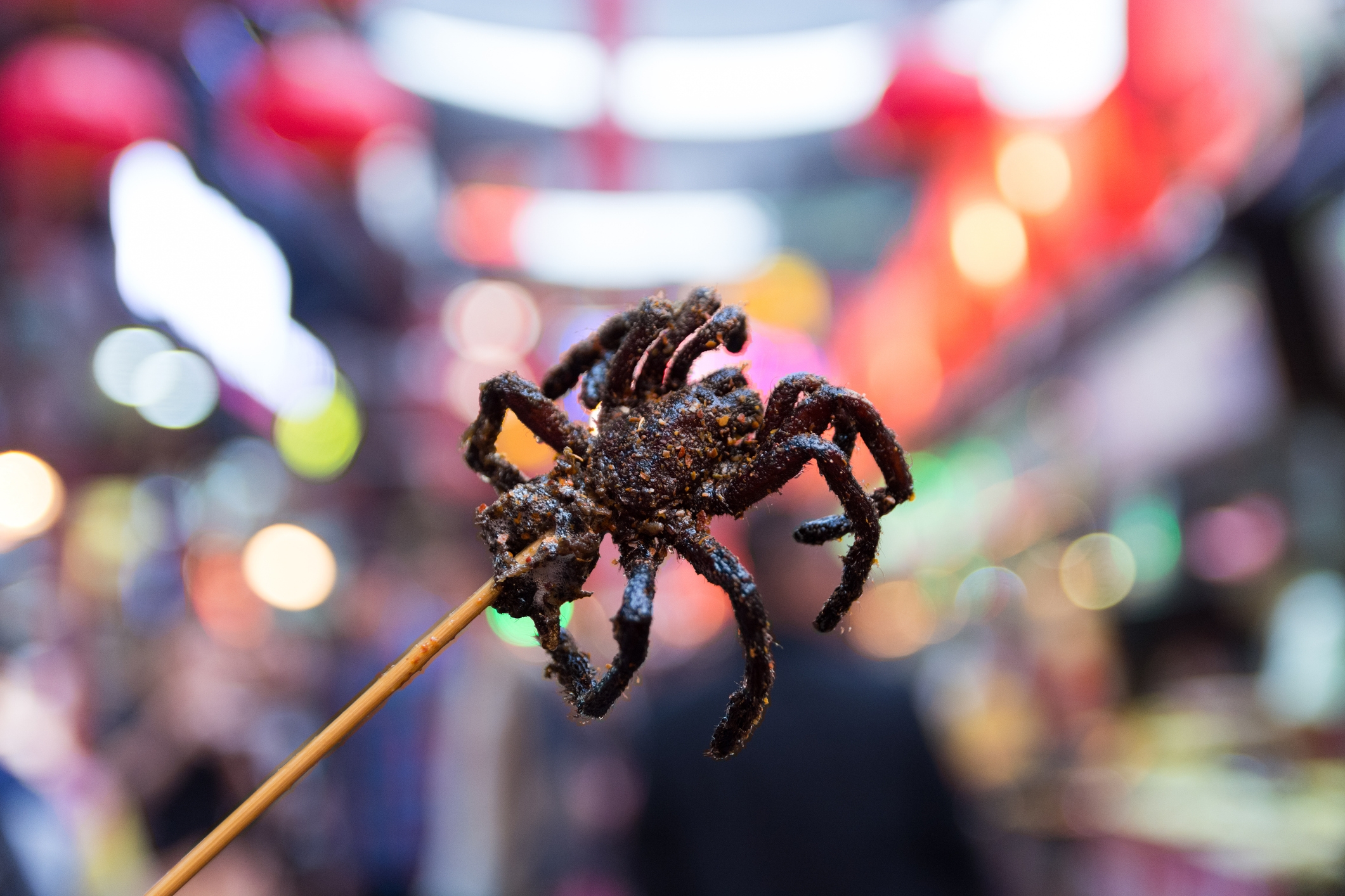 Fried tarantula on a skewer held in a street market, highlighting unusual culinary choices