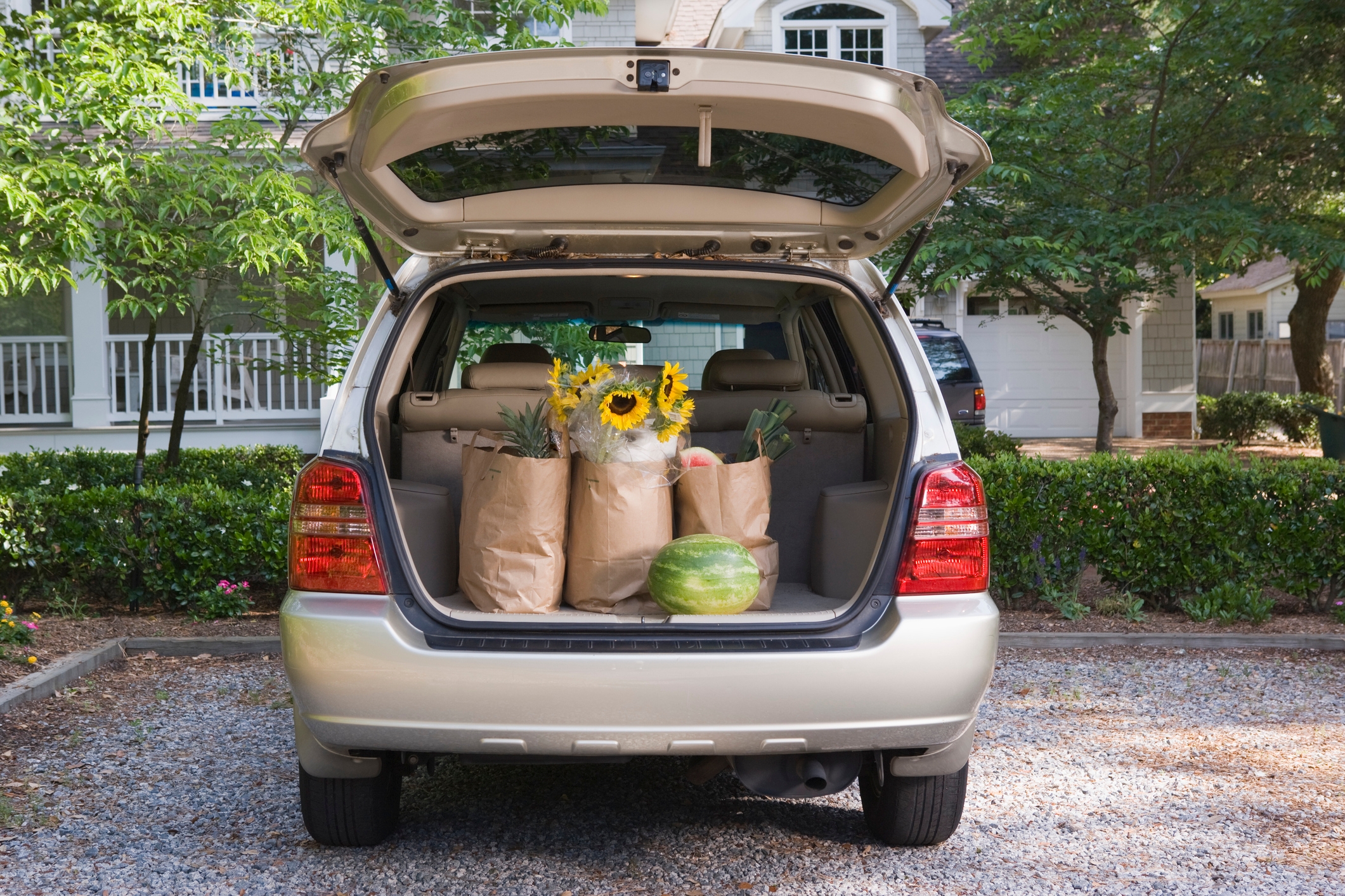 The open trunk of an SUV filled with grocery bags, including sunflowers and a watermelon, parked on a driveway in a residential area