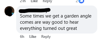 Comment with typos about a garden angel coming their way and things turning out great