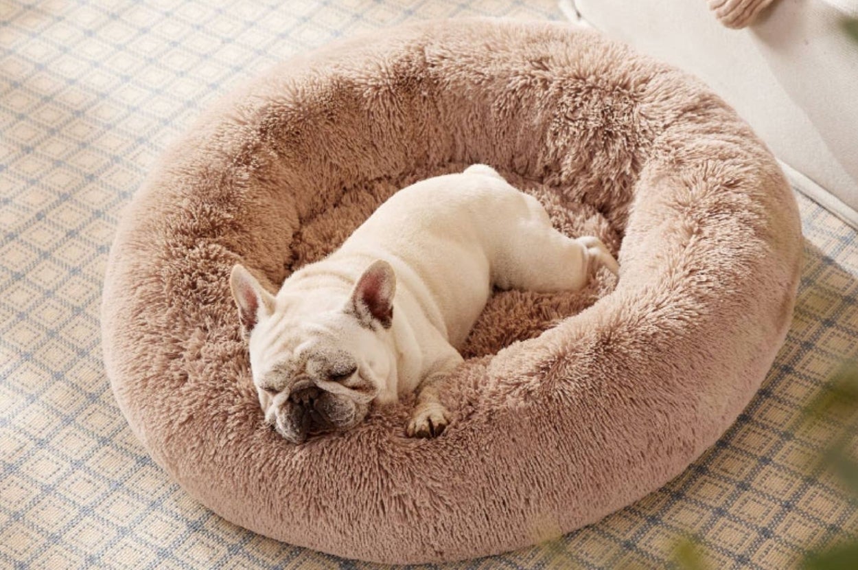 This $25 Bed Feels Like A 'Safe Spot' For Pets - And There's A Reason Why
