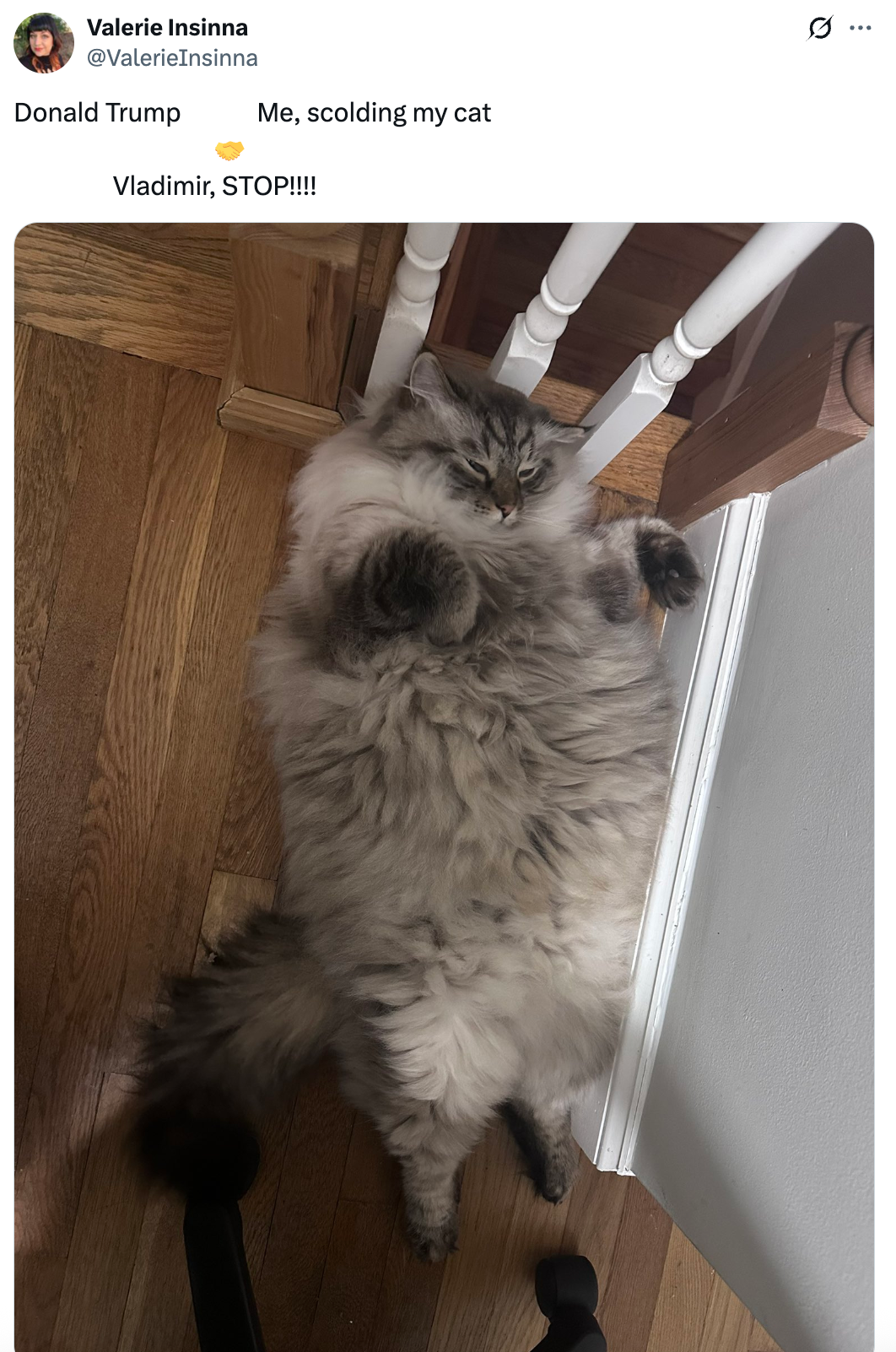 Fluffy cat lying upside down on the floor by stairs, referenced in a humorous tweet comparing an individual's actions to scolding the cat