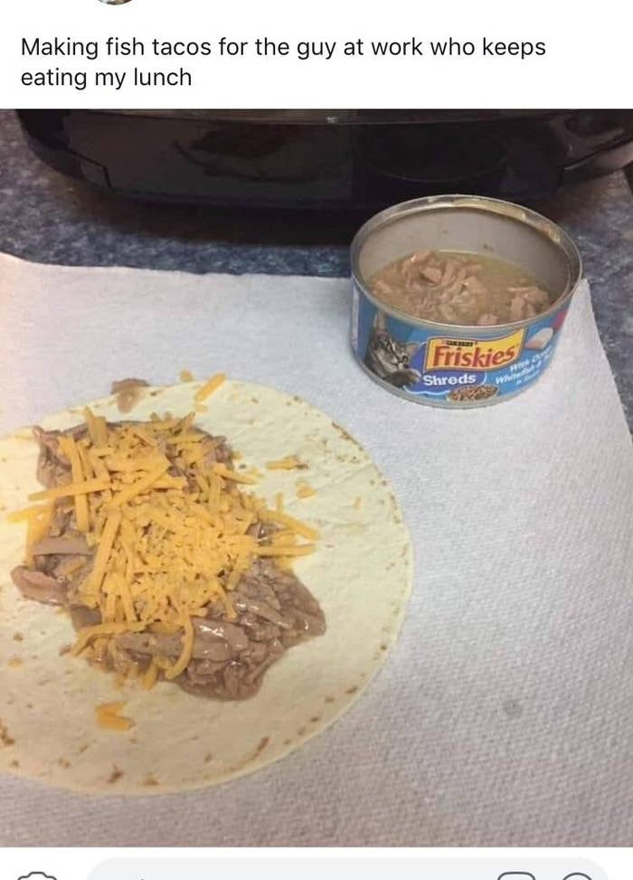 A tortilla with shredded cheese and cat food on a paper towel, alongside an open Friskies cat food can. Caption jokes about making lunch for a coworker