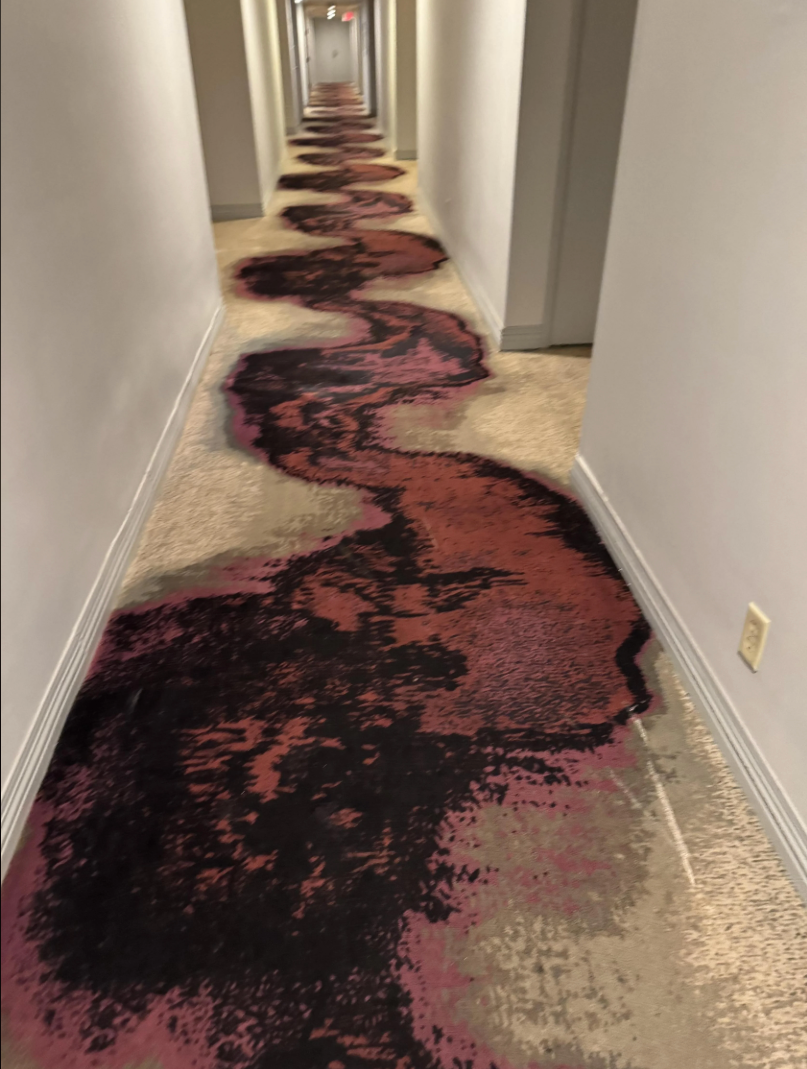Hallway with patterned carpet resembling a winding path or river, creating an optical illusion effect. Walls are plain, enhancing the carpet design