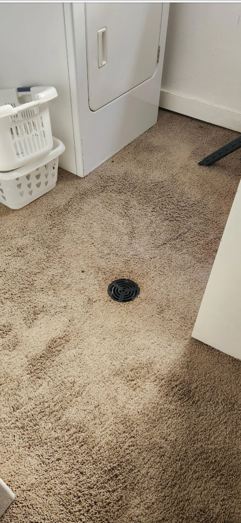 Laundry room with a carpeted floor featuring a floor drain, a washing machine on the right, and a laundry basket on the left