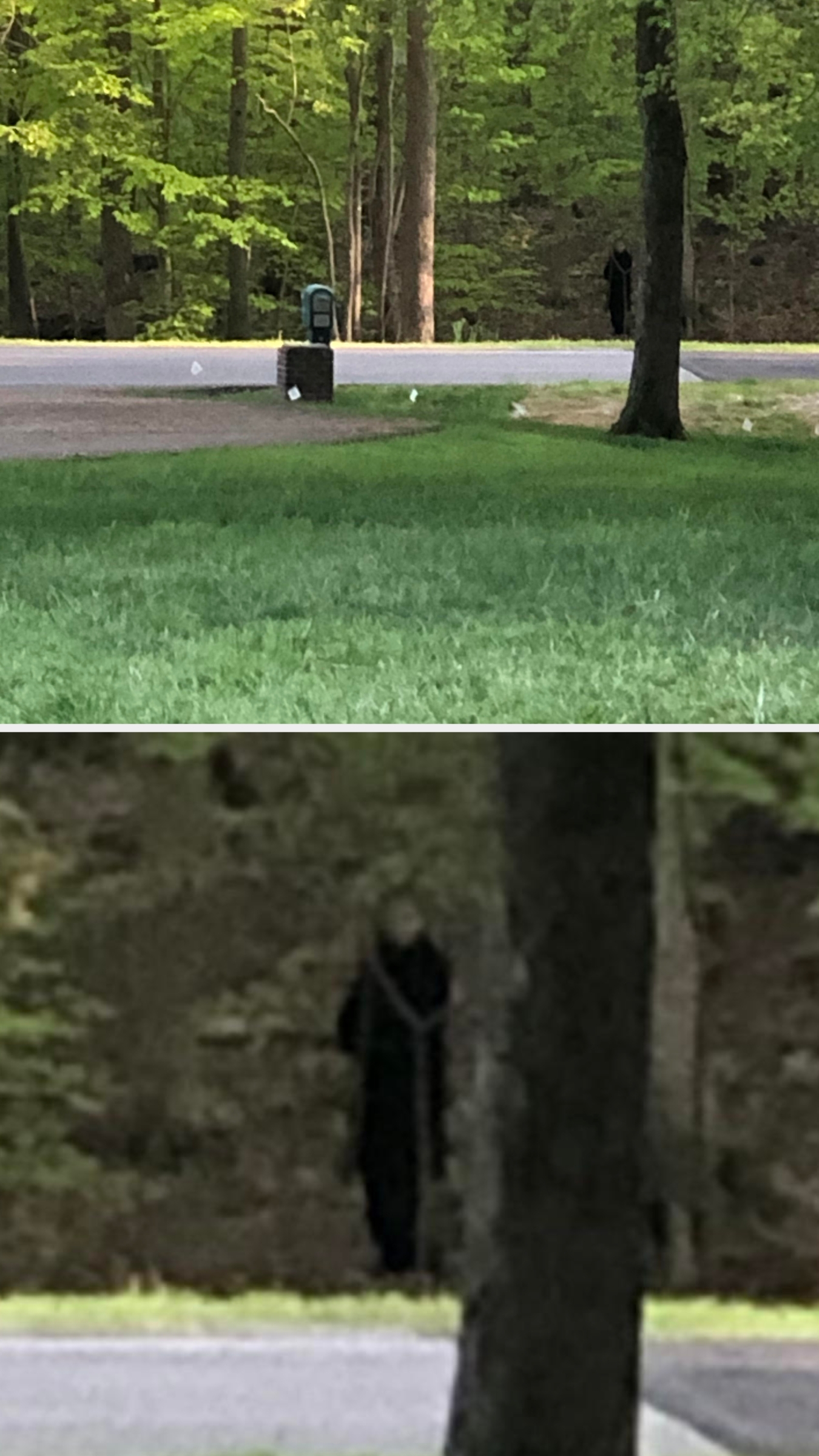 A distant, blurry figure in dark clothing stands by a road in a wooded area, partially obscured by trees