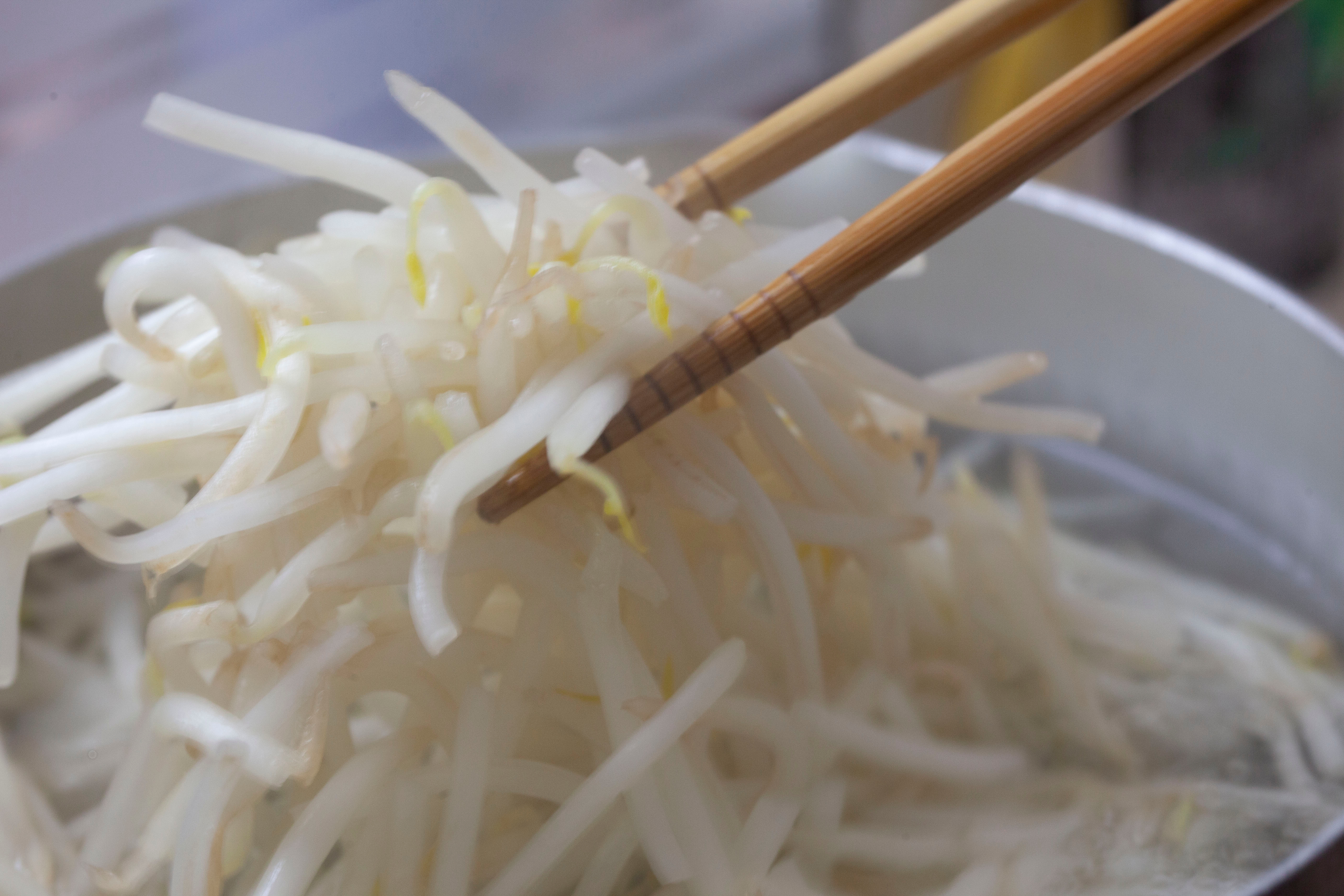 もやしをゆでるイメージ写真（Decoplus.inc / Getty Images）