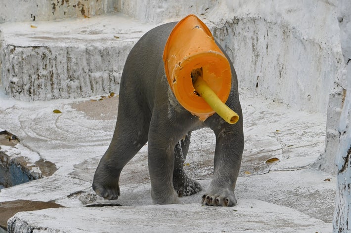 ともき（@tomoki_hito）さんのXより