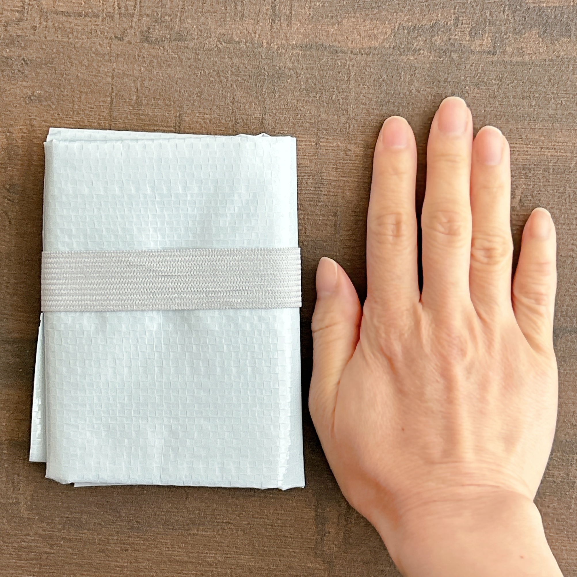 Seria（セリア）の「コンパクトレジャーシート」