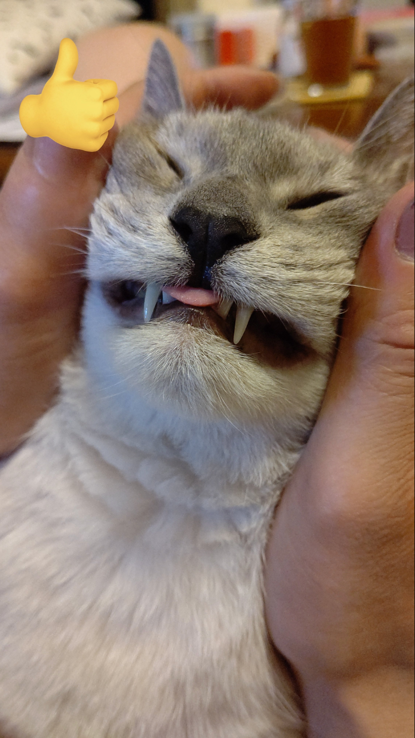 目をつぶってしまうチビちゅけちゃん／チビちゅけさん?のX（@Jzz30Shigeo）より