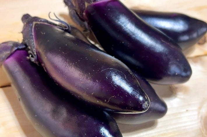 テーブルに並んだ数本のナス。