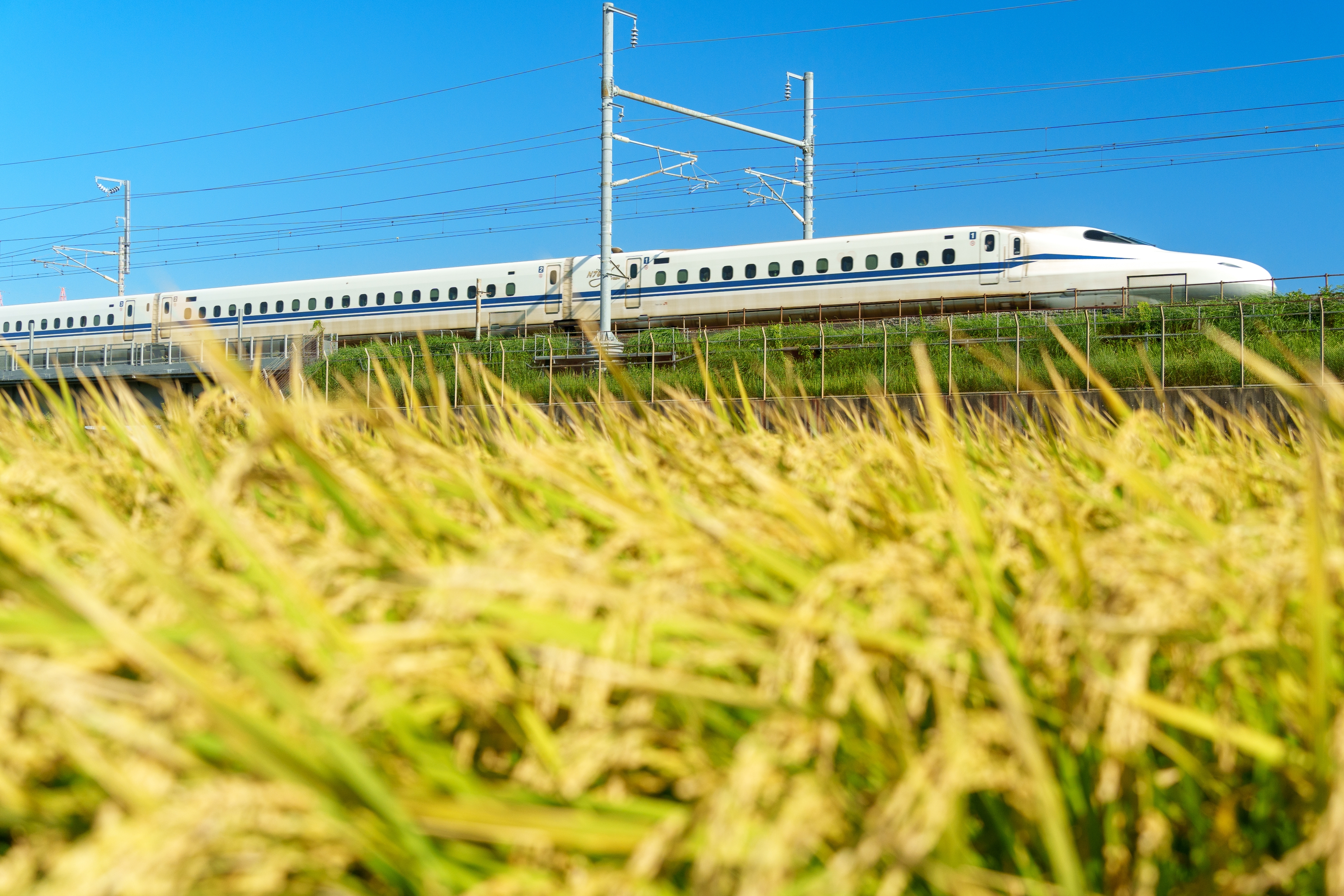 新幹線のイメージ画像(Nukopic / Getty Images)