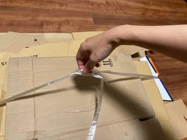 Aya Hoshino（BuzzFeed Japan）