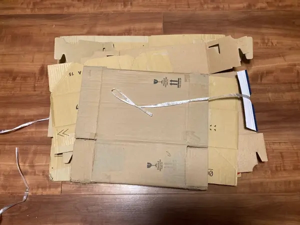 Aya Hoshino（BuzzFeed Japan）