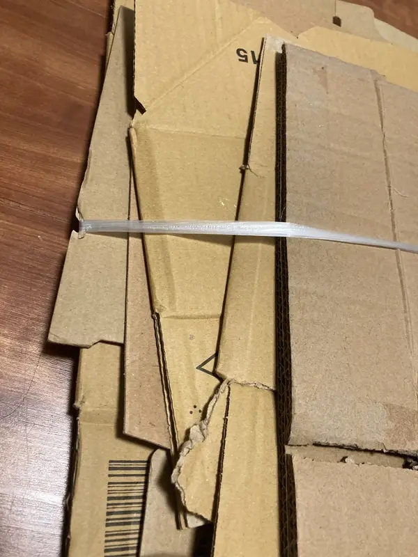 Aya Hoshino（BuzzFeed Japan）