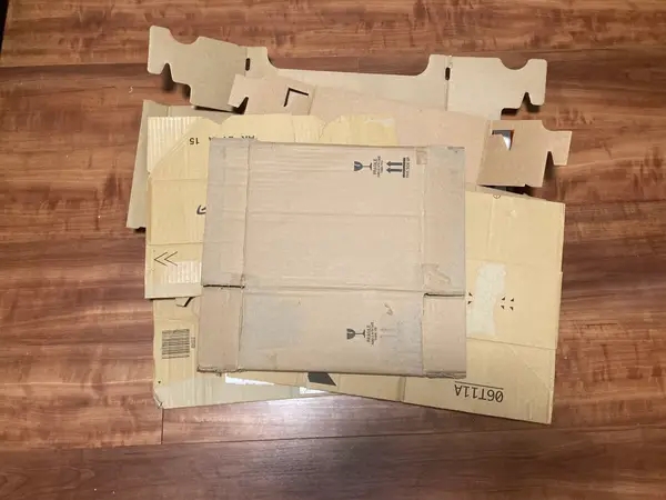 Aya Hoshino（BuzzFeed Japan）