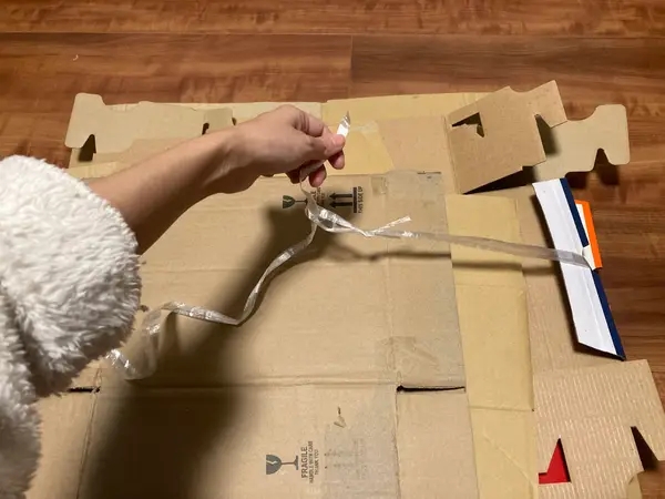 Aya Hoshino（BuzzFeed Japan）