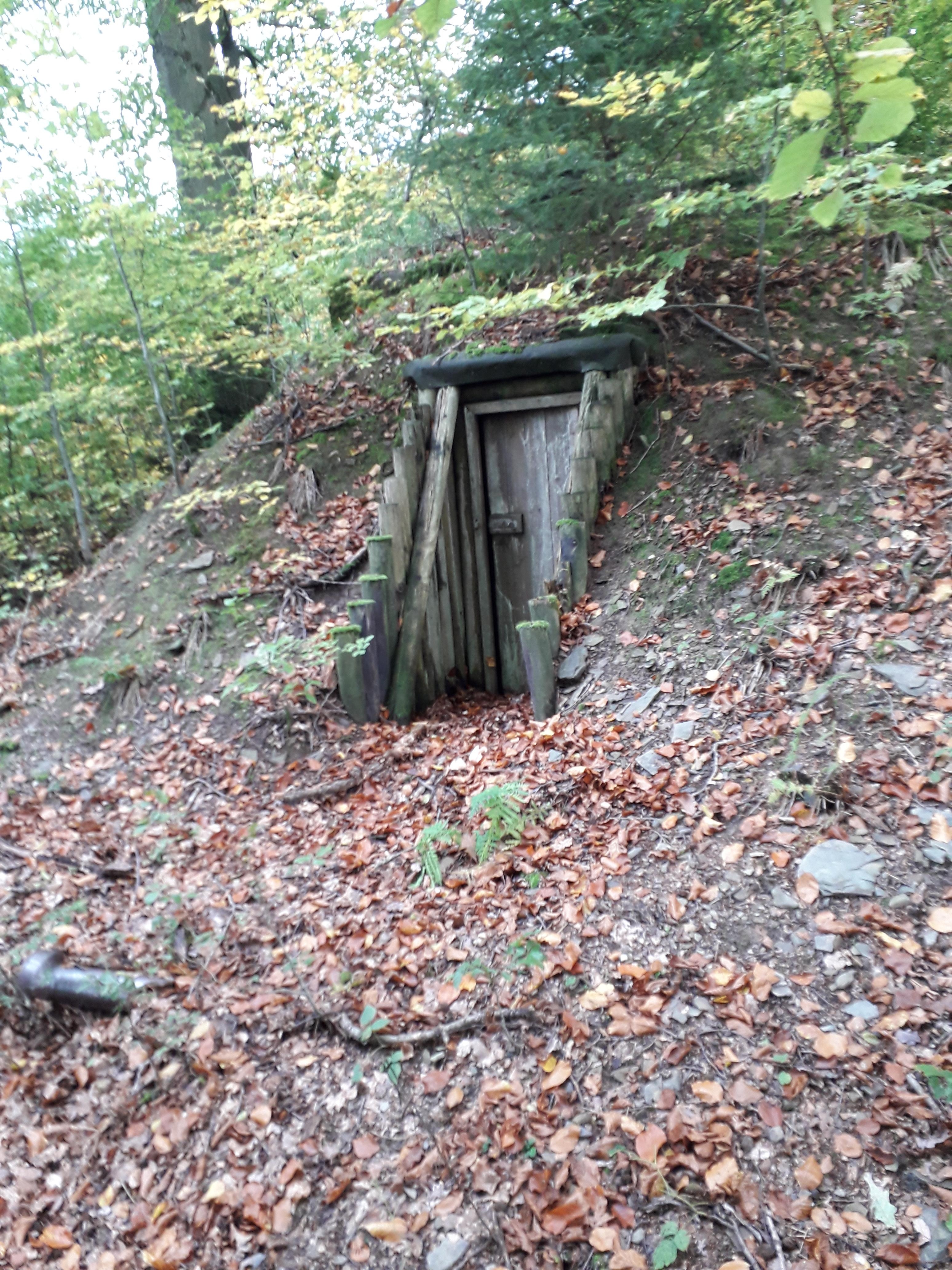 Wooden door of an underground bunker nestled into a forest hillside, surrounded by fallen leaves and trees
