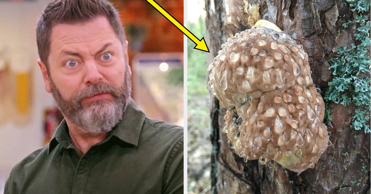 "It Was Driving Everyone Bonkers With Mystery": 49 Times The Internet Came Together To Identify Weird Items That Had Everyone Completely Stumped