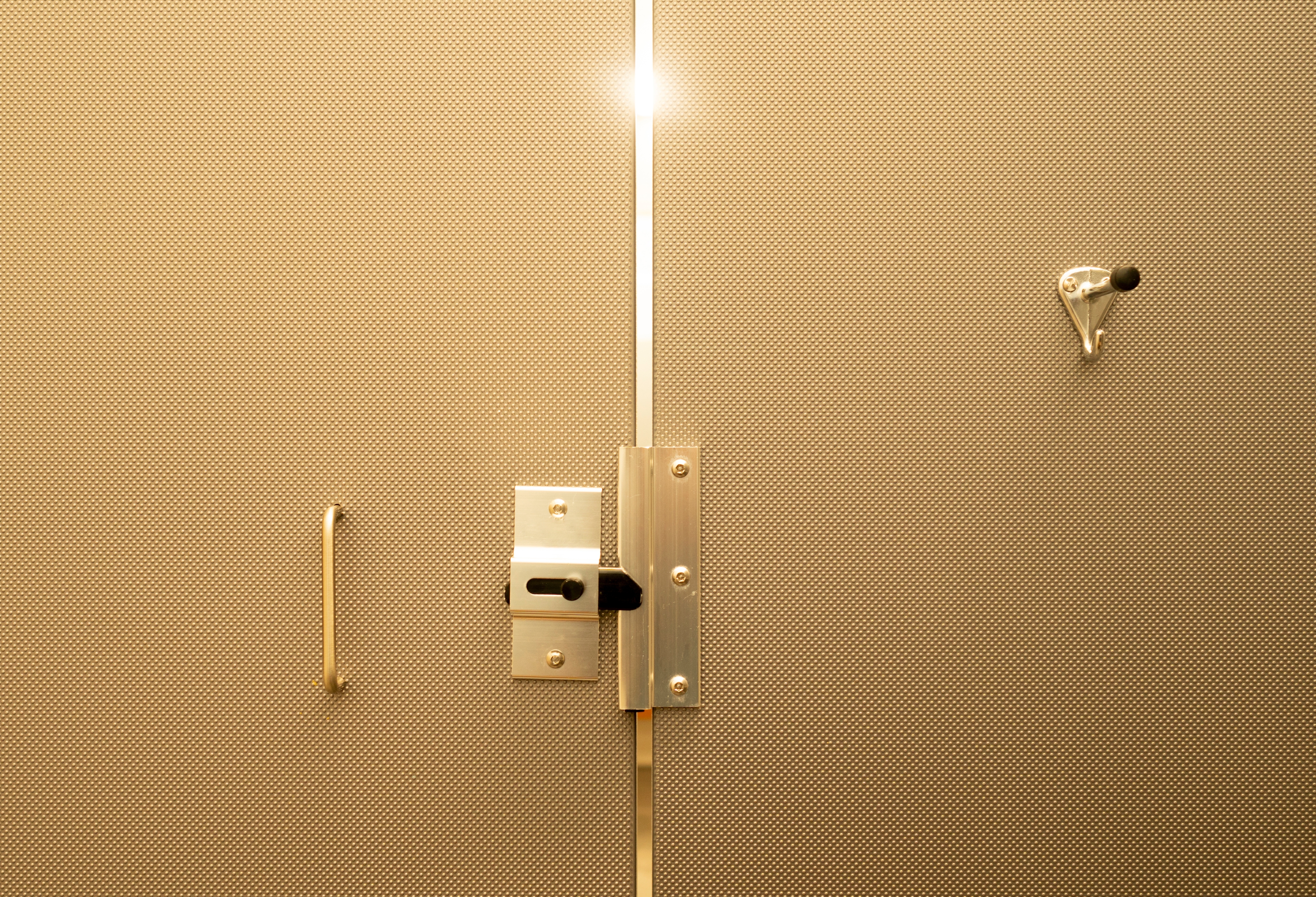 Bathroom stall door, slightly ajar with a metal latch and coat hook visible