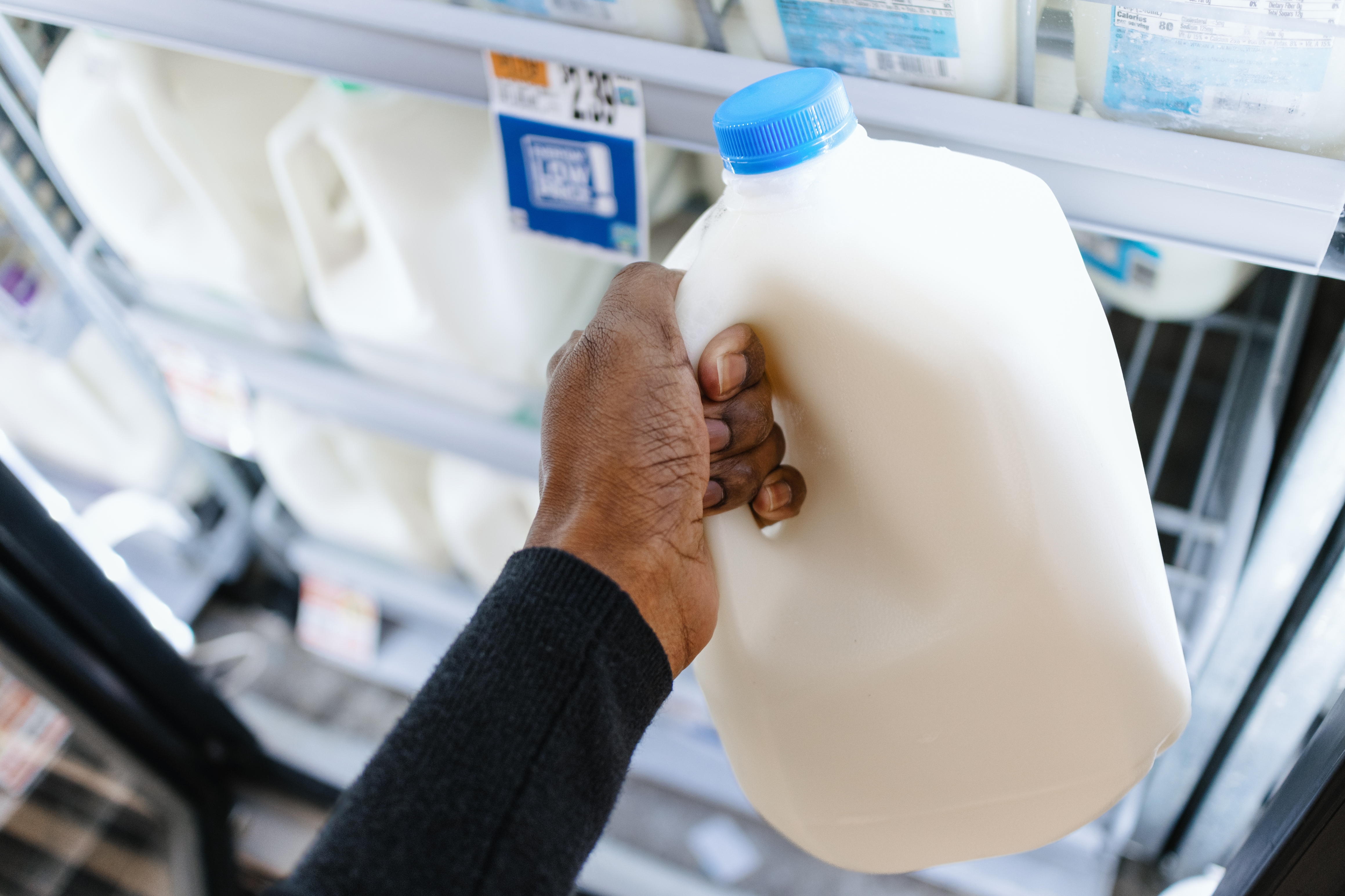 Person holding a gallon of milk in a grocery store aisle, about to place it in a shopping cart