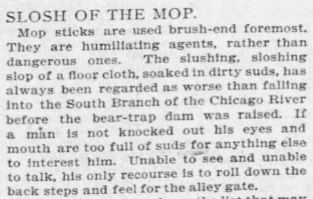 An excerpt discussing mop sticks as non-threatening yet humiliating, with vivid imagery of dirty water and a humorous take on cleaning mishaps