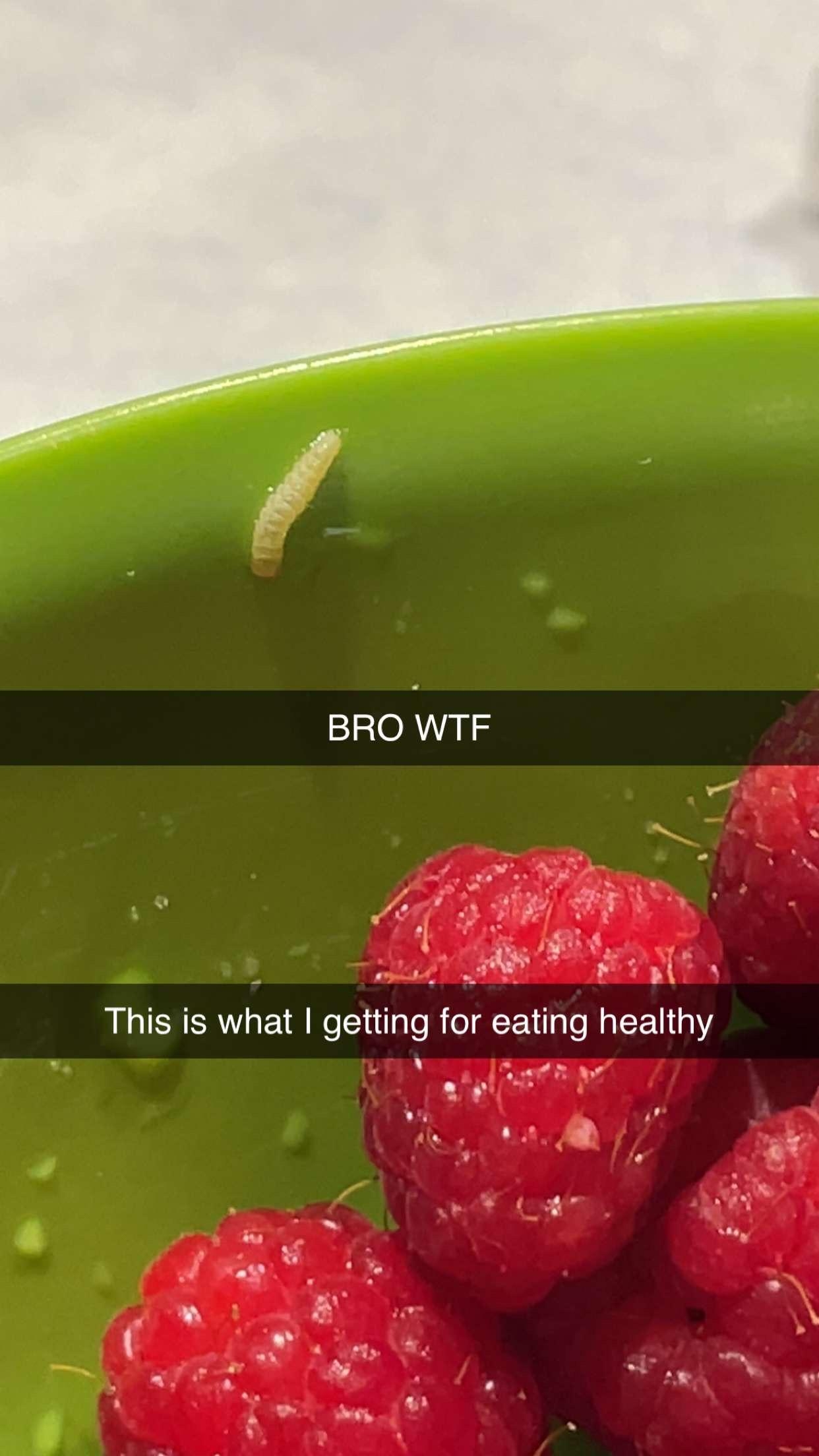 Bowl of raspberries with a small caterpillar, overlaid text: "BRO WTF This is what I getting for eating healthy."