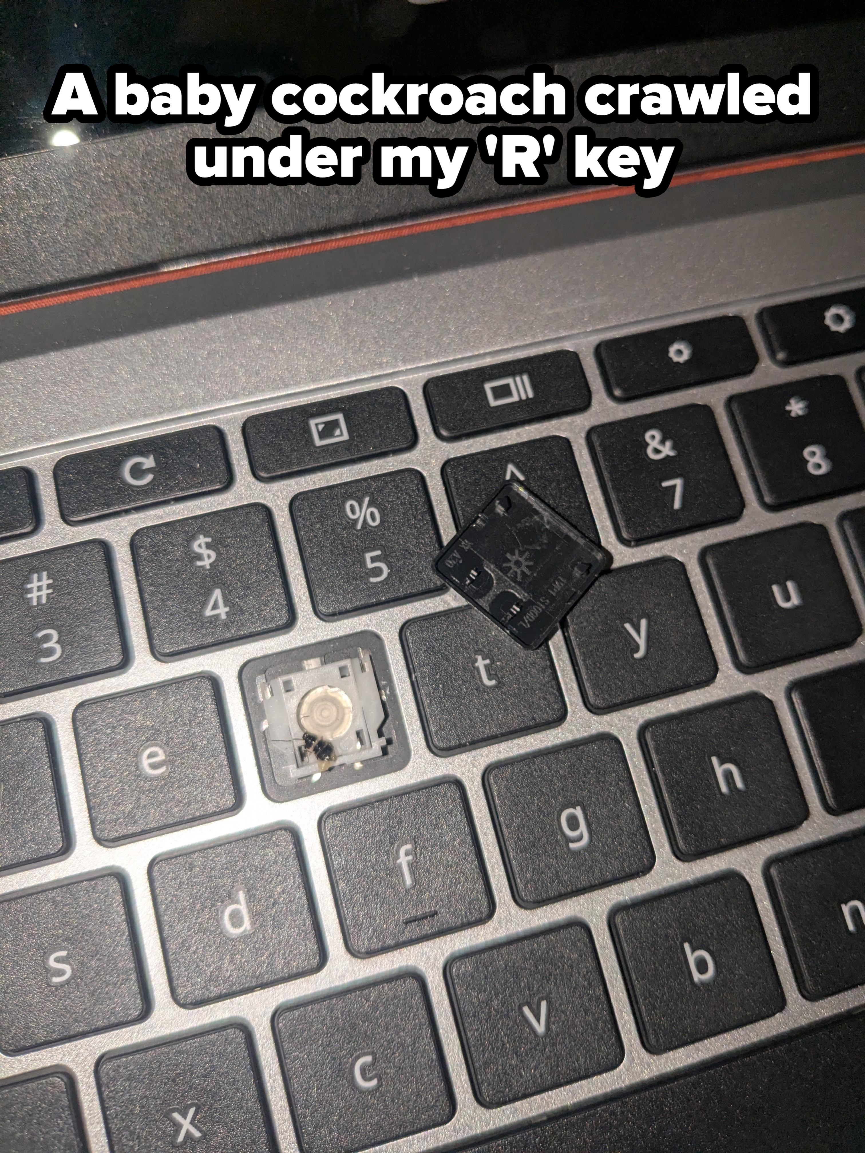 Laptop keyboard with the "Insert" key removed, showing the switch mechanism underneath