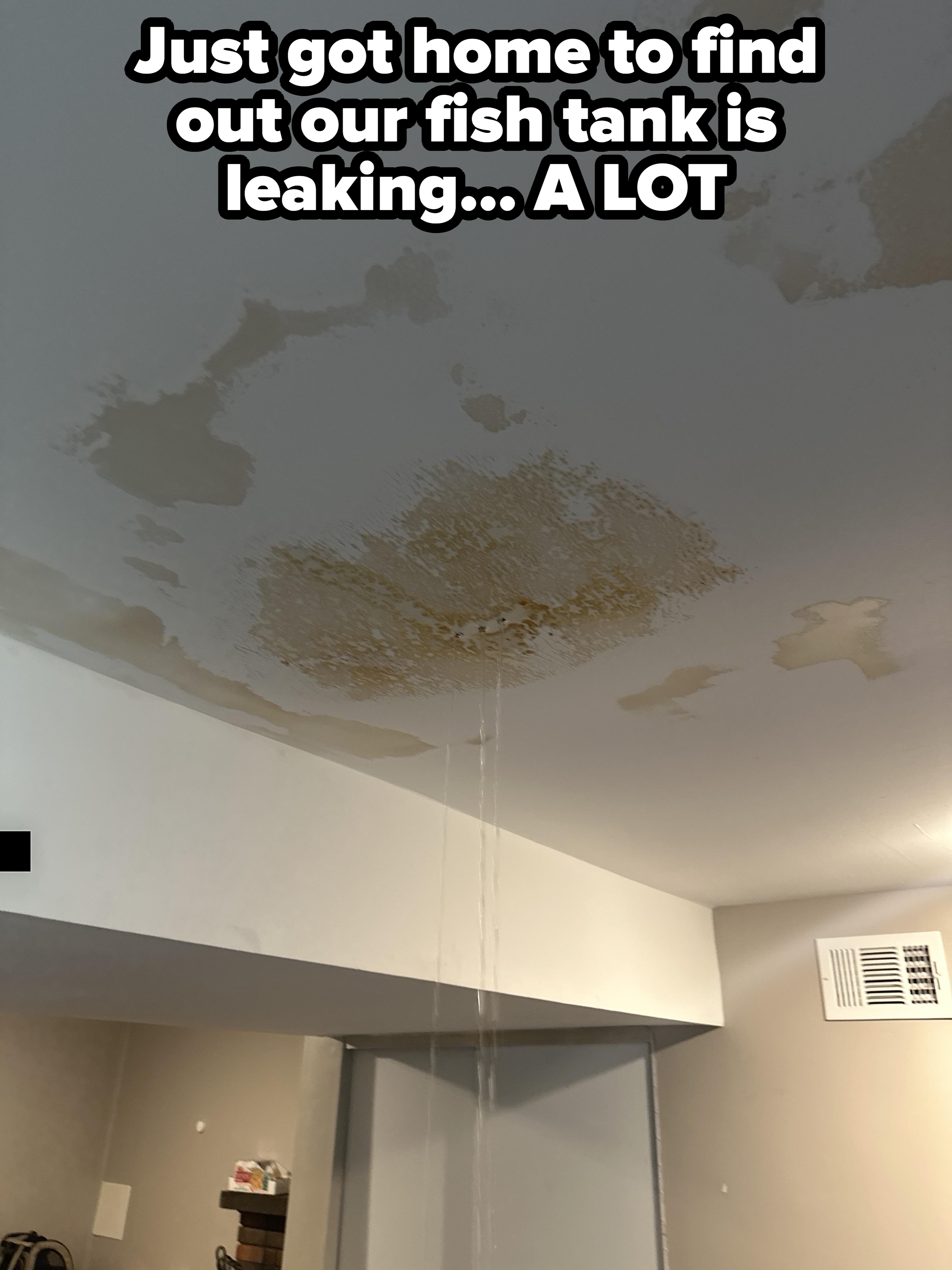 Ceiling with water damage and visible leak, showing discolored patches and water streaming down, indicating possible plumbing or roof issues