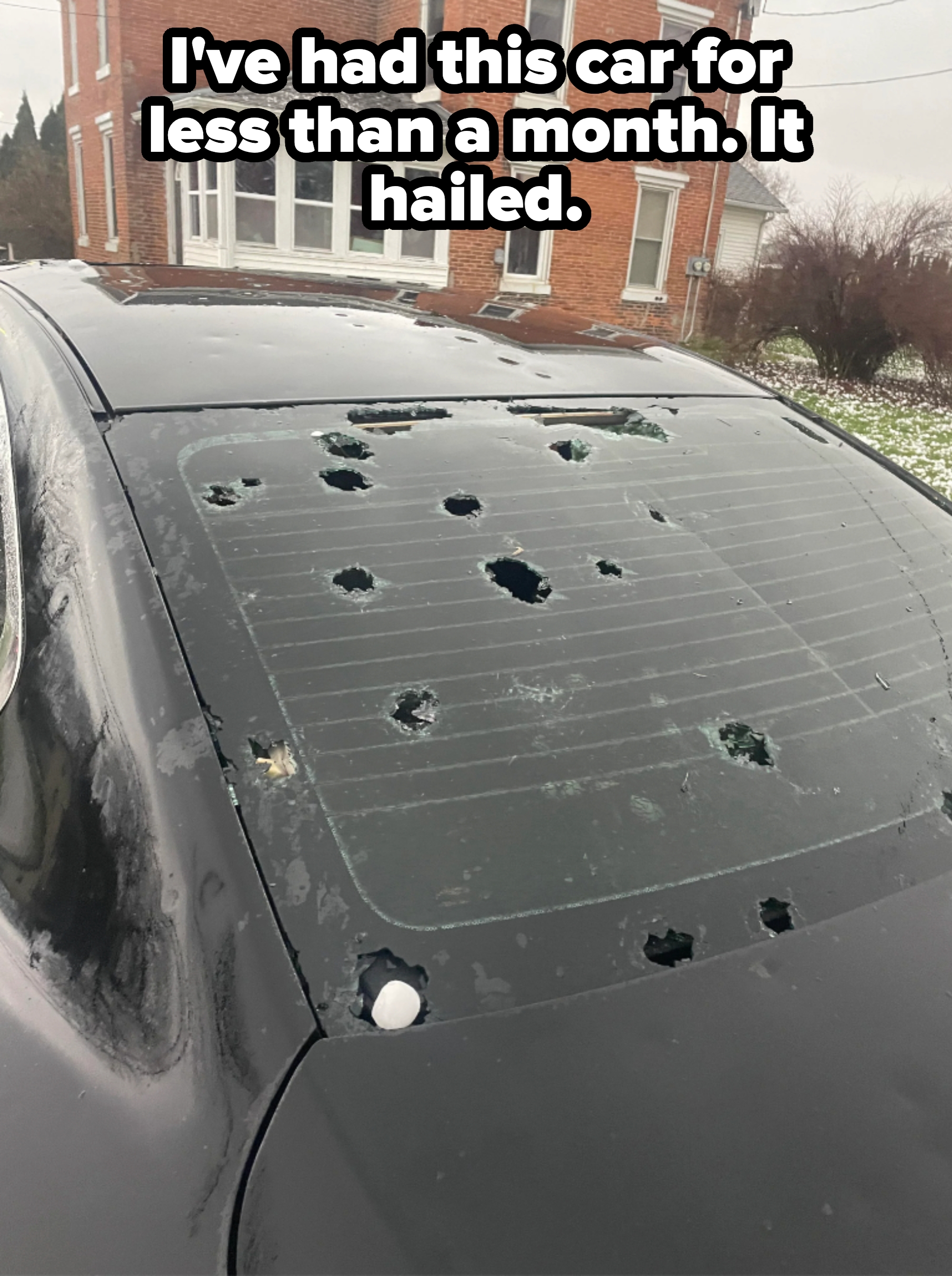 Car with multiple holes in rear windshield, parked near a brick house. Snow is visible on the ground