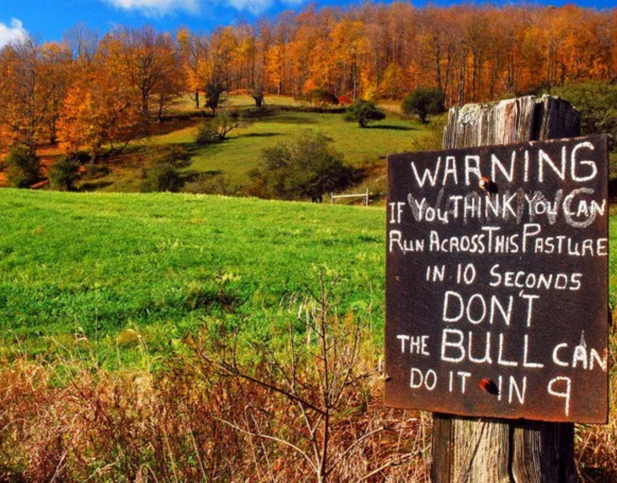 A sign in a field warns: "If you think you can run across this pasture in 10 seconds, don't. The bull can do it in 9."