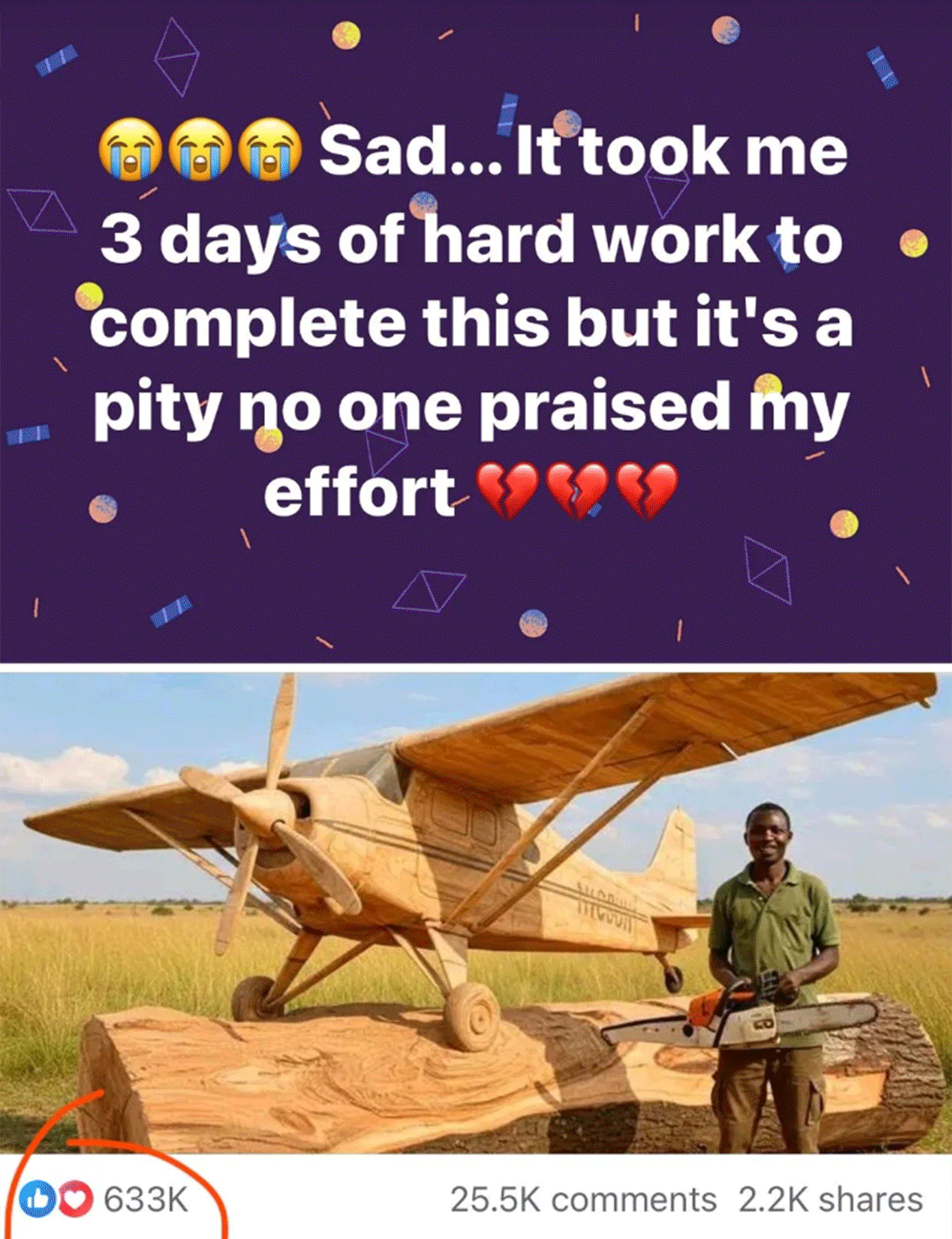 AI image of a person standing beside a large, detailed wooden airplane sculpture in a grassy field with a post stating no one appreciated their hard work. 633k people liked the photo