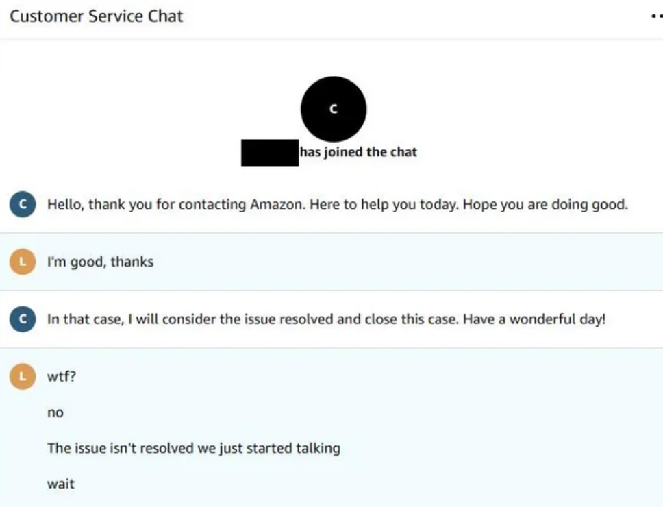 customer service chat where customer service worker said "hope you are doing good" and the customer replied "I'm good, thanks," leading the worker to believe the issue was fixed and sign off