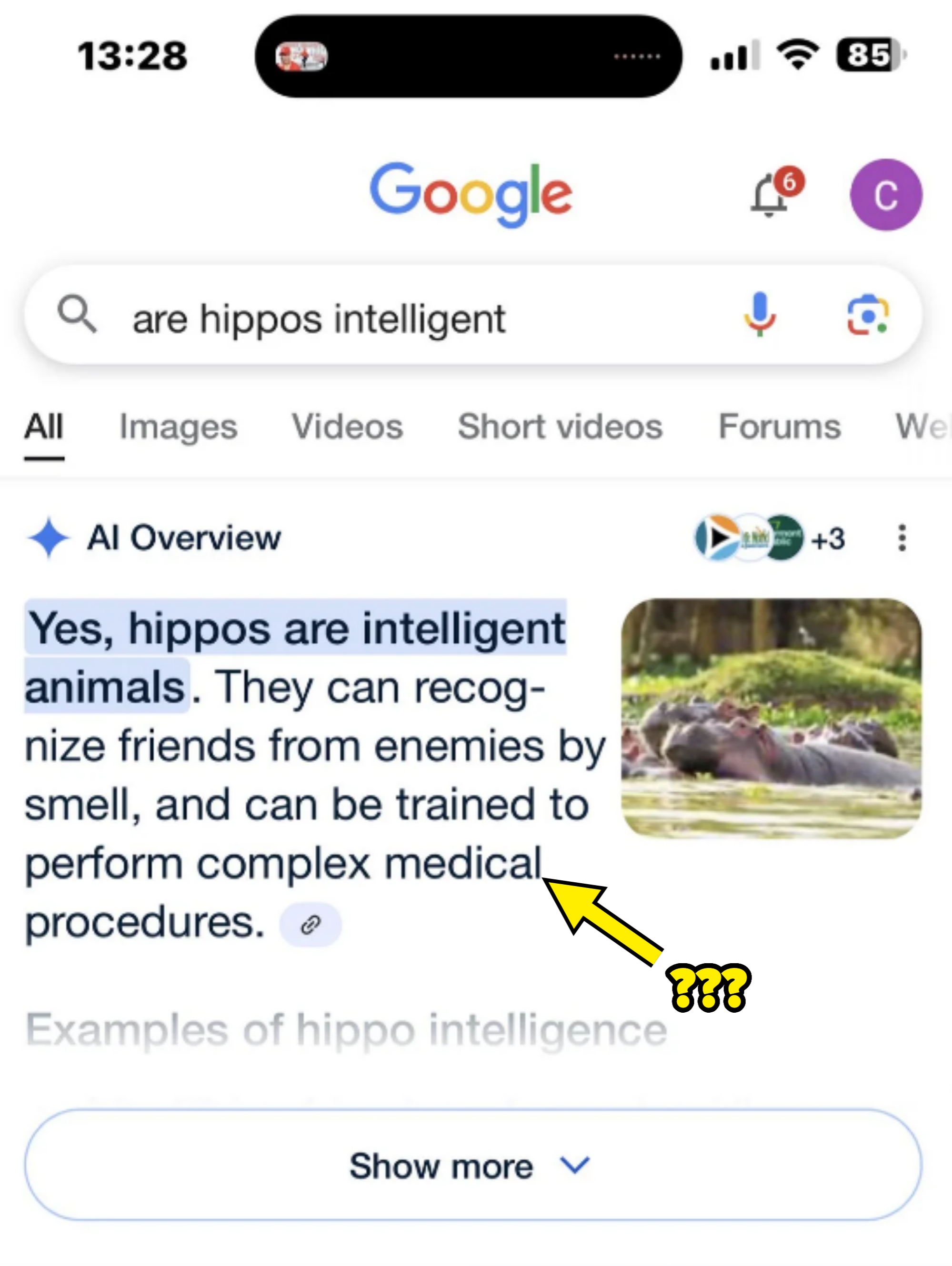 Google AI text claiming hippos can perform complex medical procedures