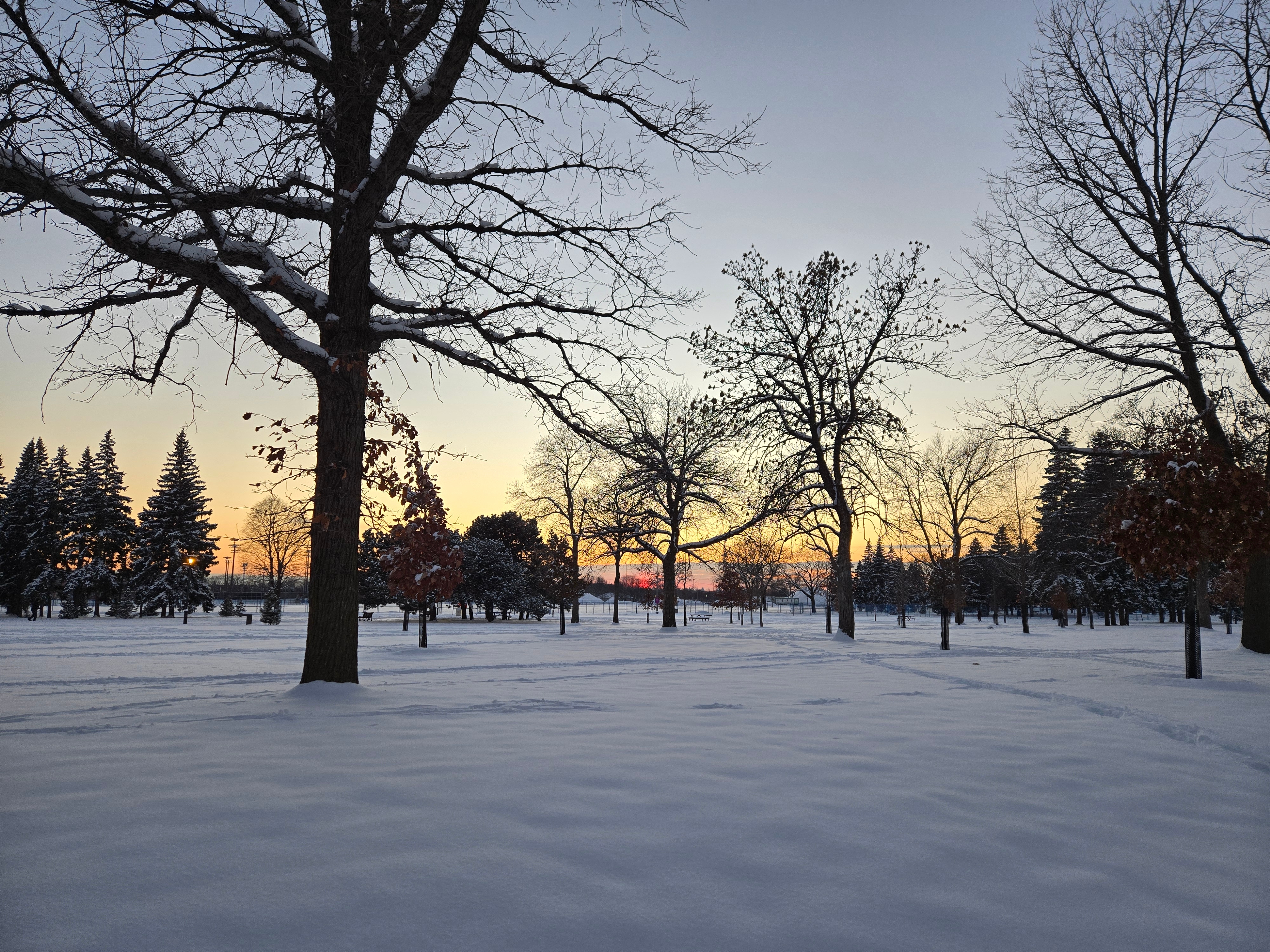 Snow-covered landscape with bare trees at sunrise, creating a serene and peaceful winter scene