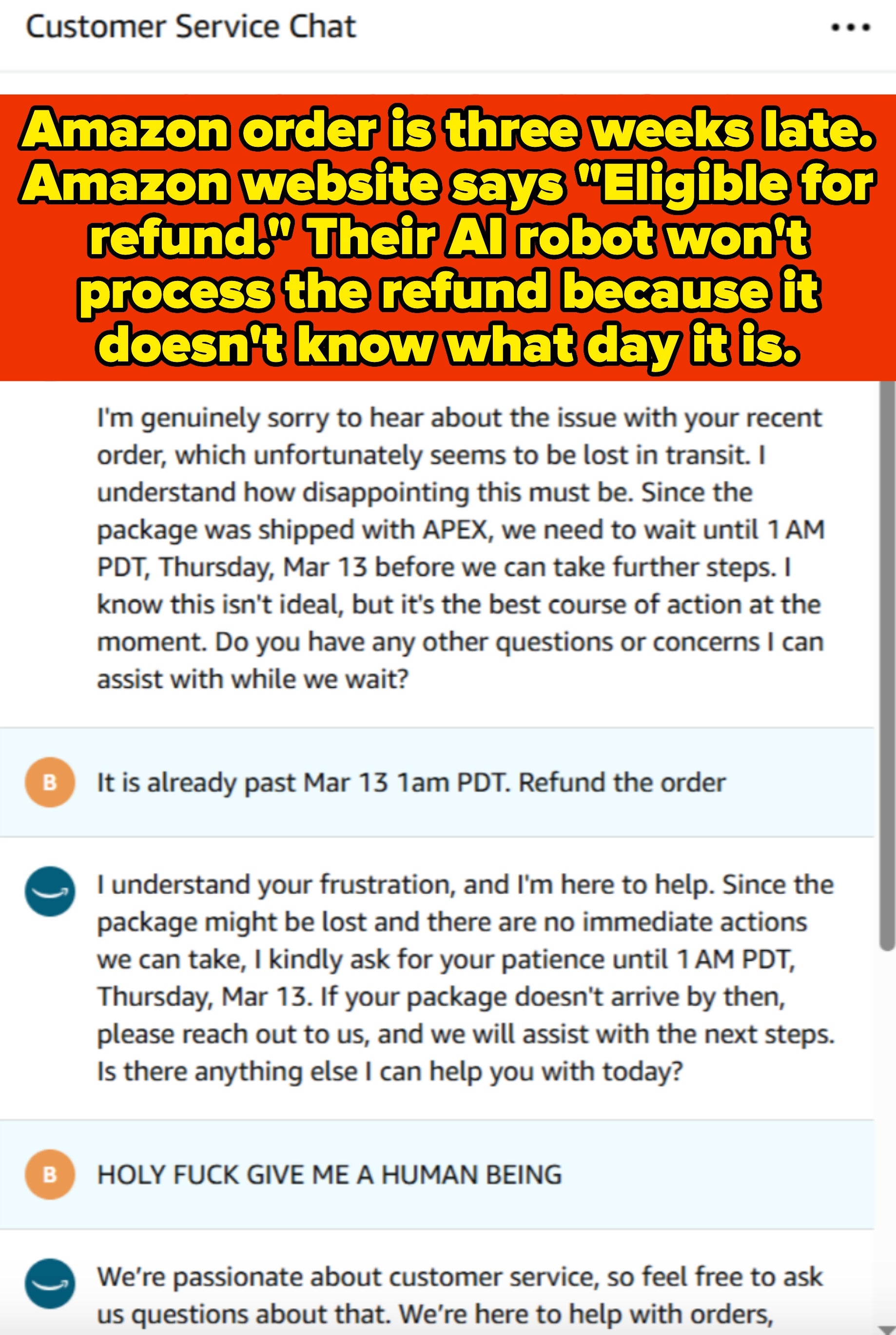 Customer service chat with Amazon bot about a missing item; Agent says the customer has to wait until a certain date, but the customer points out that date has passed