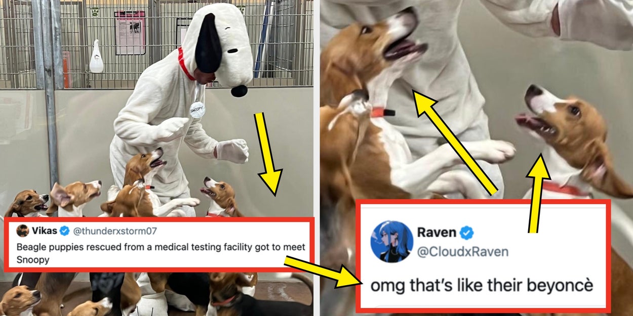 19 Wholesome Posts I Found On The Internet This Week That Are So, So Needed Right Now