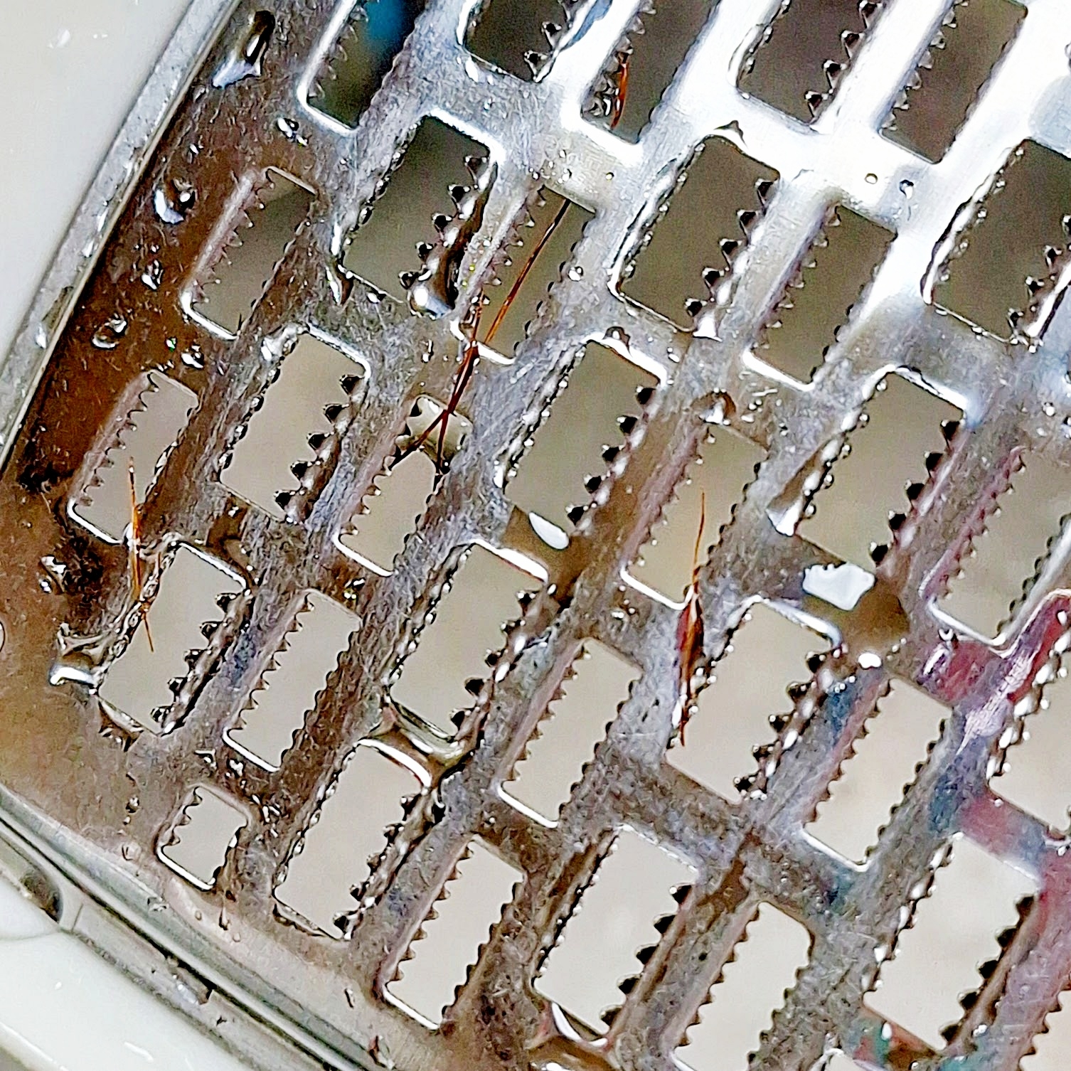 金属のチーズおろしに髪の毛が絡まっている様子。
