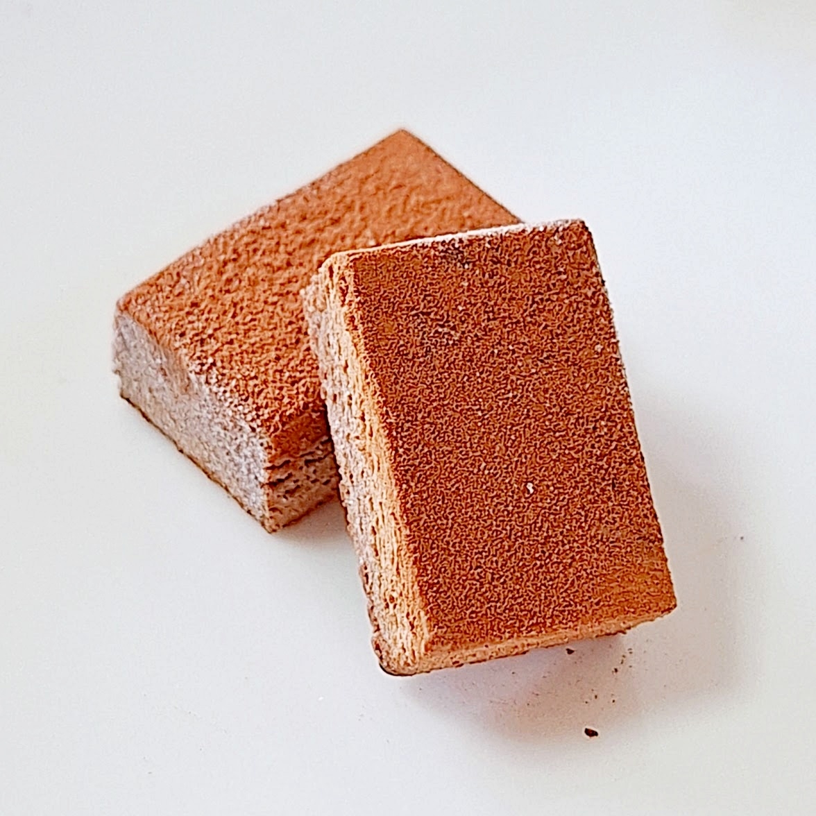 2つの茶色のスクエアケーキが皿に載っている。表面は滑らかで軽くココアパウダーが振りかけられている。