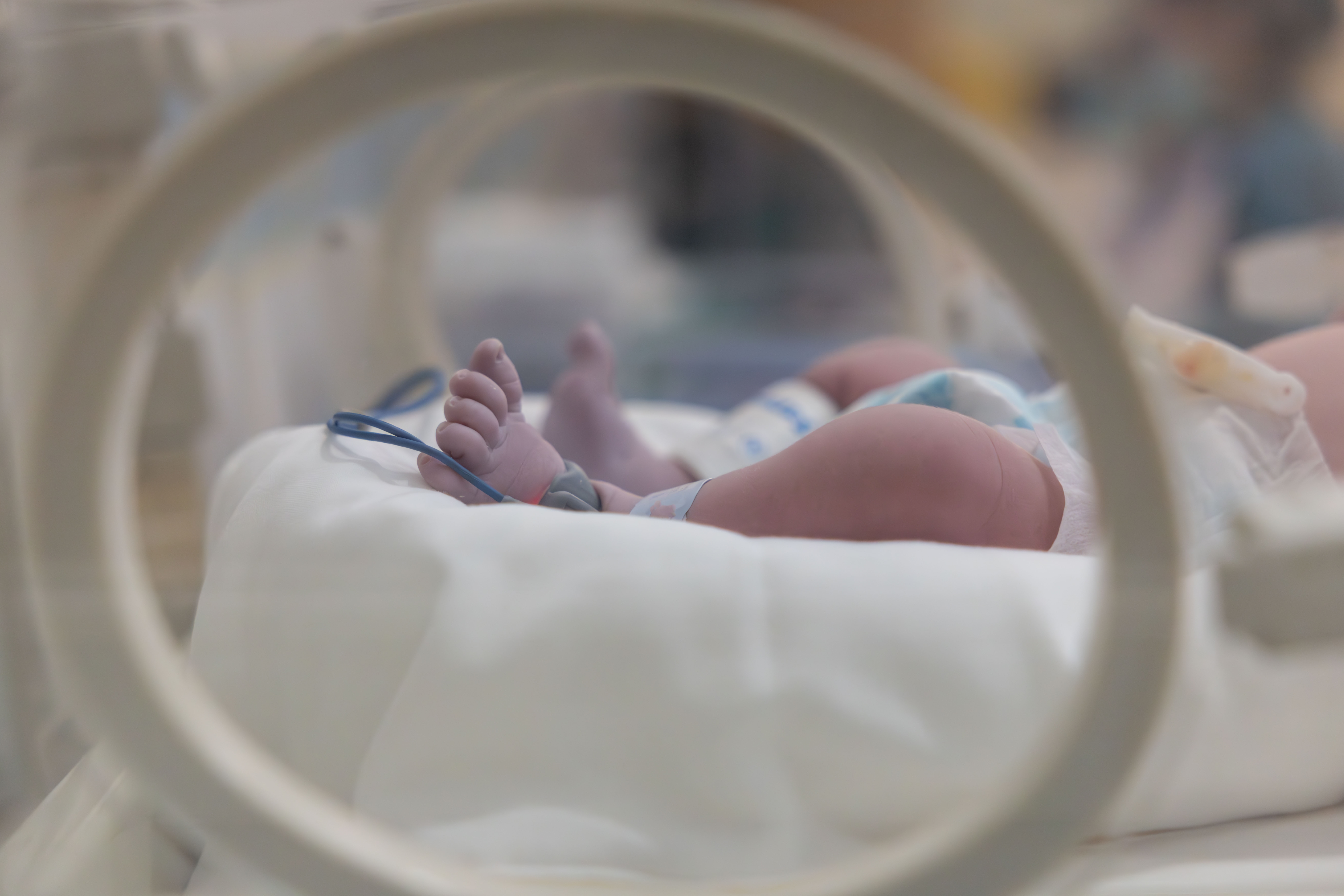 Newborn baby feet in an incubator, connected to medical monitoring devices