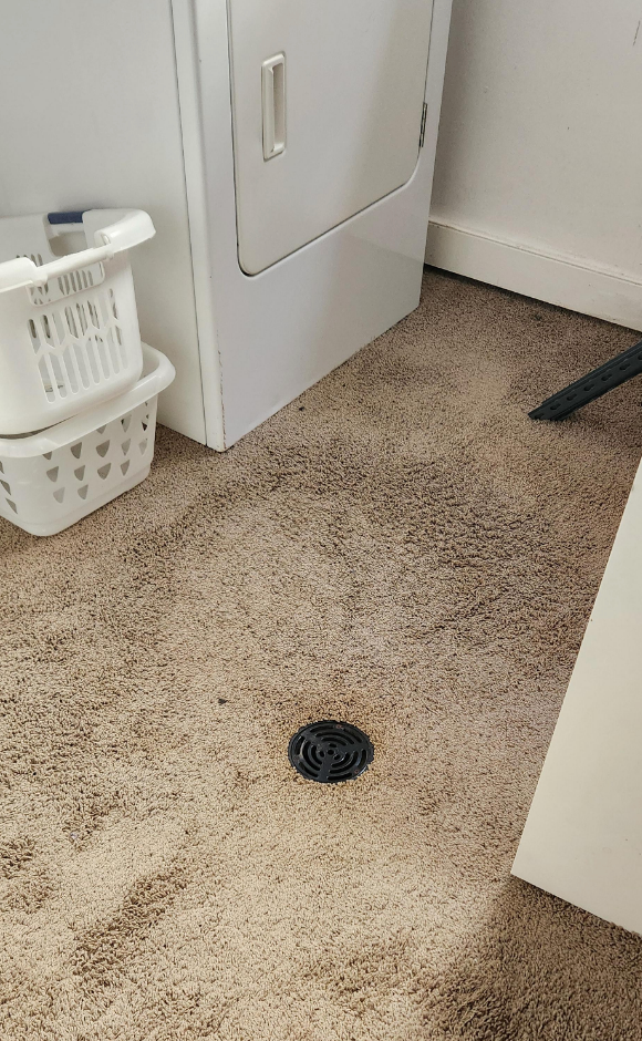 Indoor laundry area with a beige carpeted floor, a white laundry basket, and a floor drain near a dryer