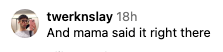 Social media comment by user "twerknslay": "And mama said it right there"