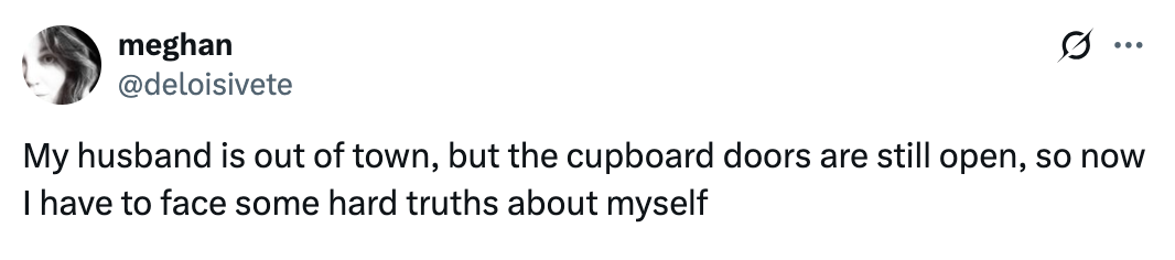 Tweet by user meghan (@deloisivete): "My husband is out of town, but the cupboard doors are still open, so now I have to face some hard truths about myself."